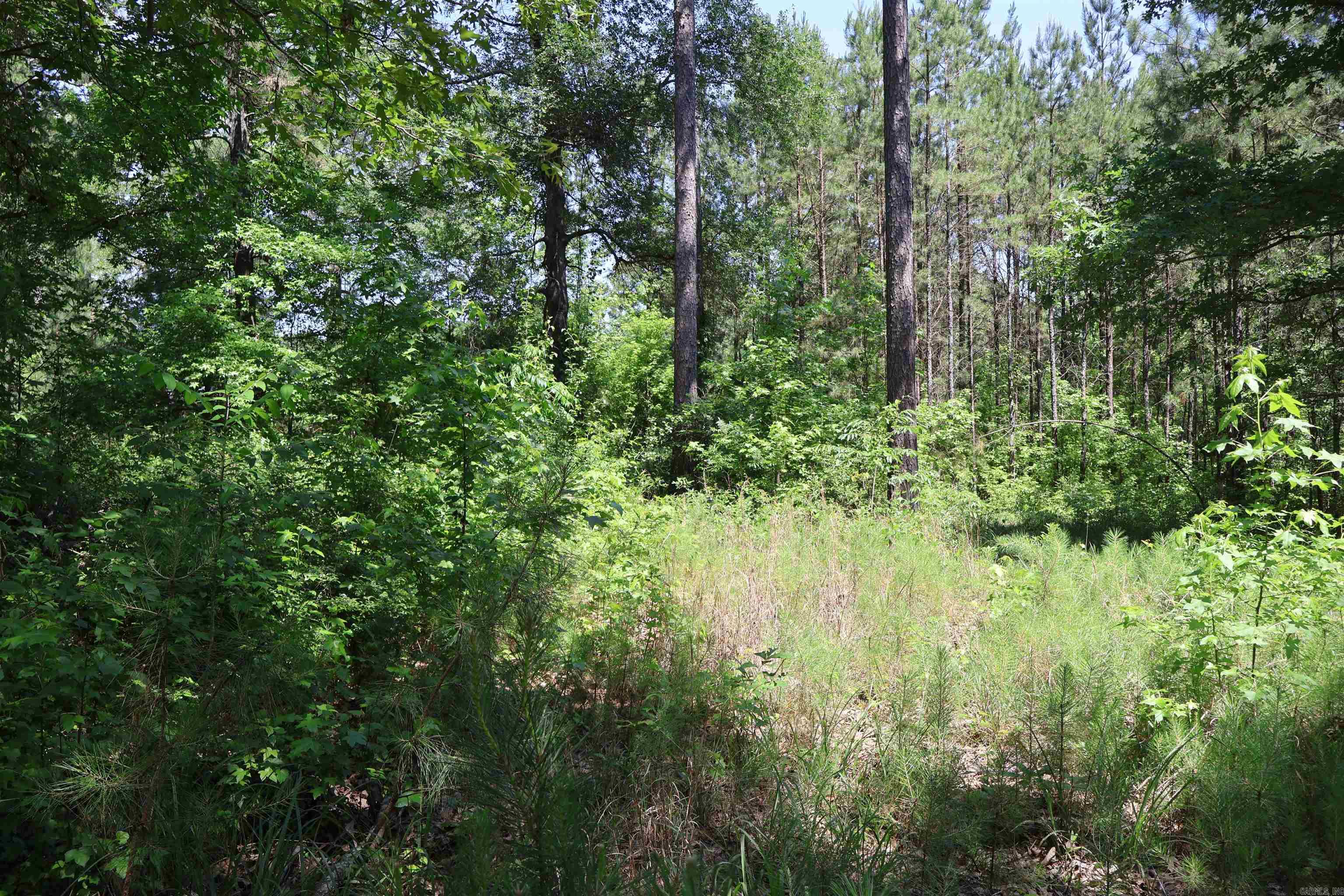 TBD Heather Ridge  Texarkana, AR