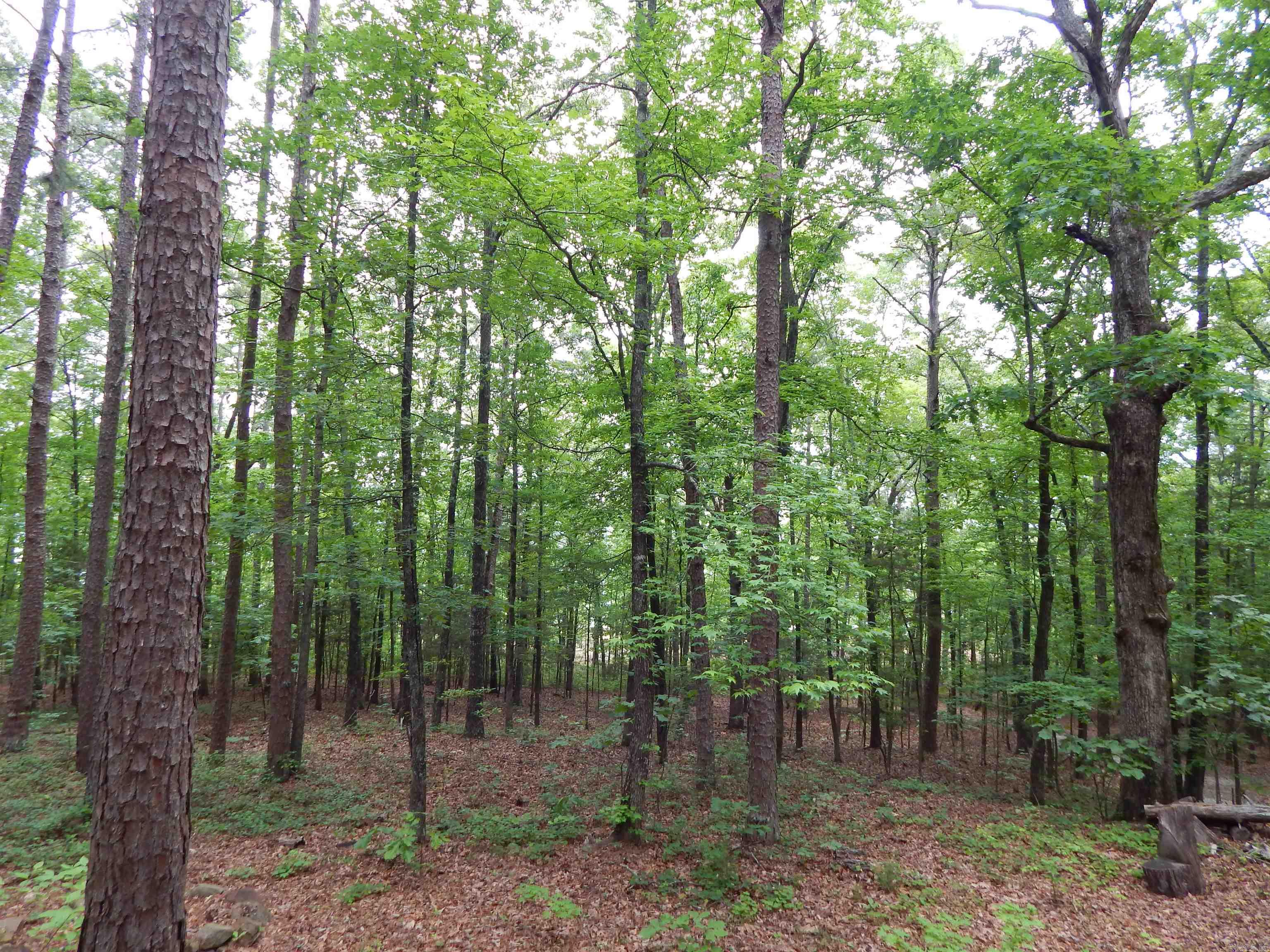 608 Hazel  Heber Springs, AR