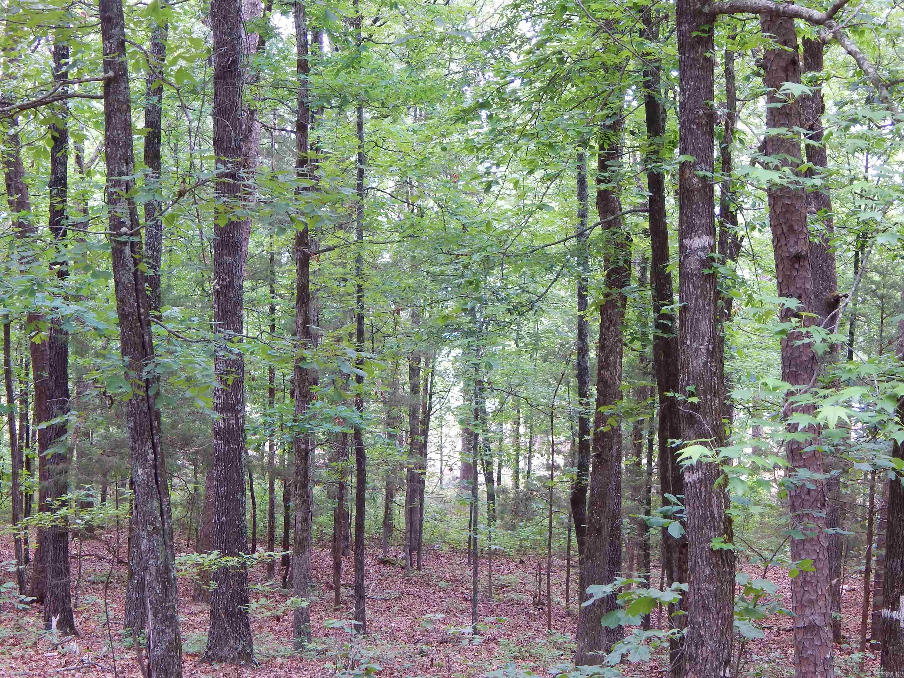 608 Hazel  Heber Springs, AR