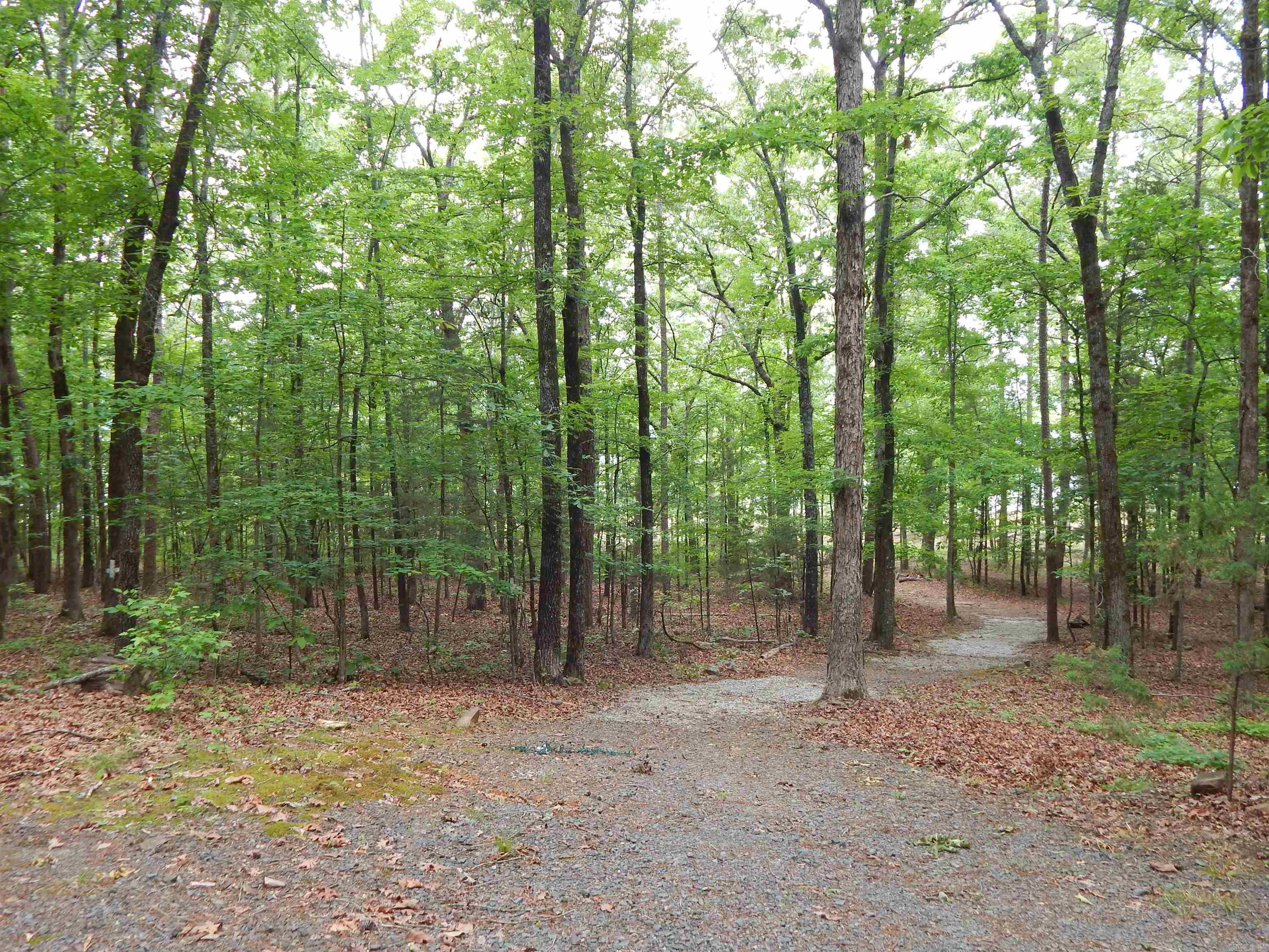 608 Hazel  Heber Springs, AR