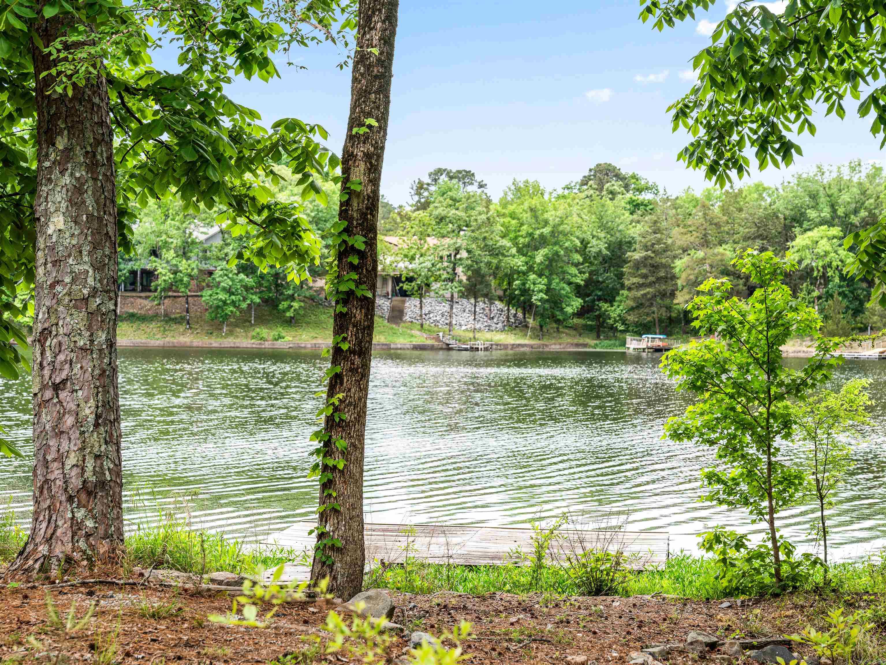 61 Alicante  Hot Springs Village, AR