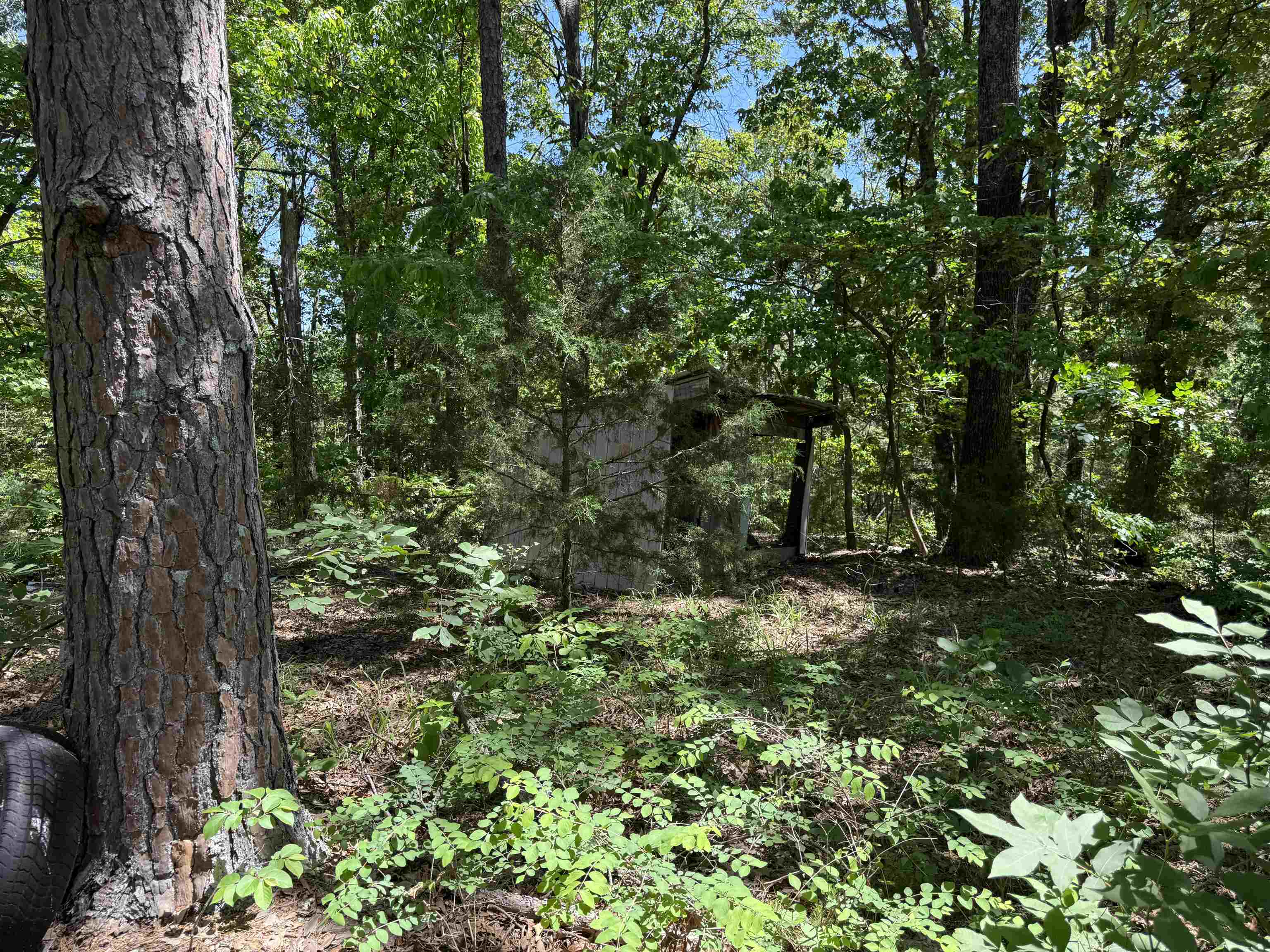 51 Herron Way  Brockwell, AR