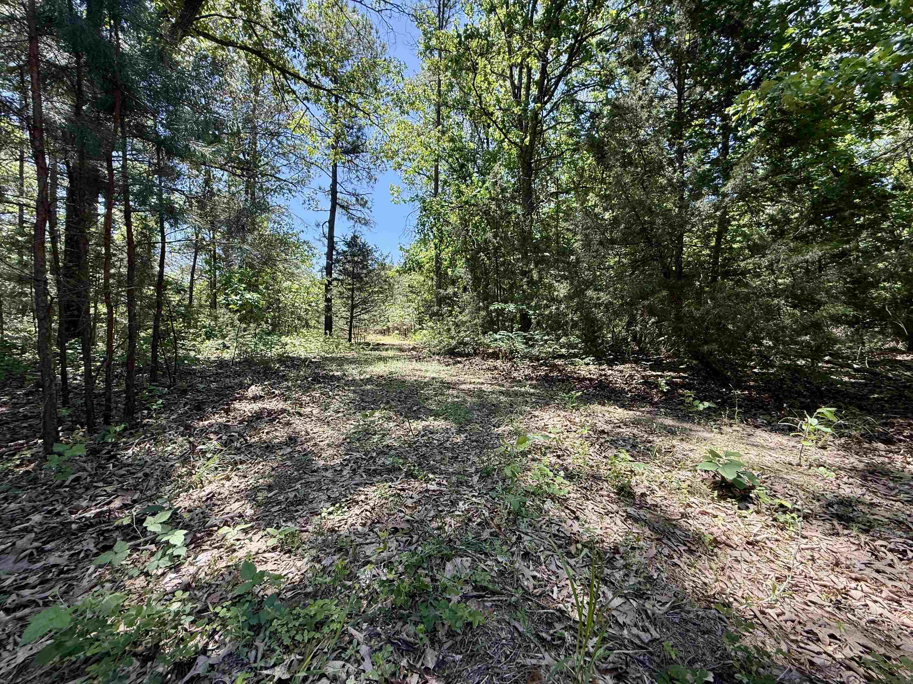 51 Herron Way  Brockwell, AR