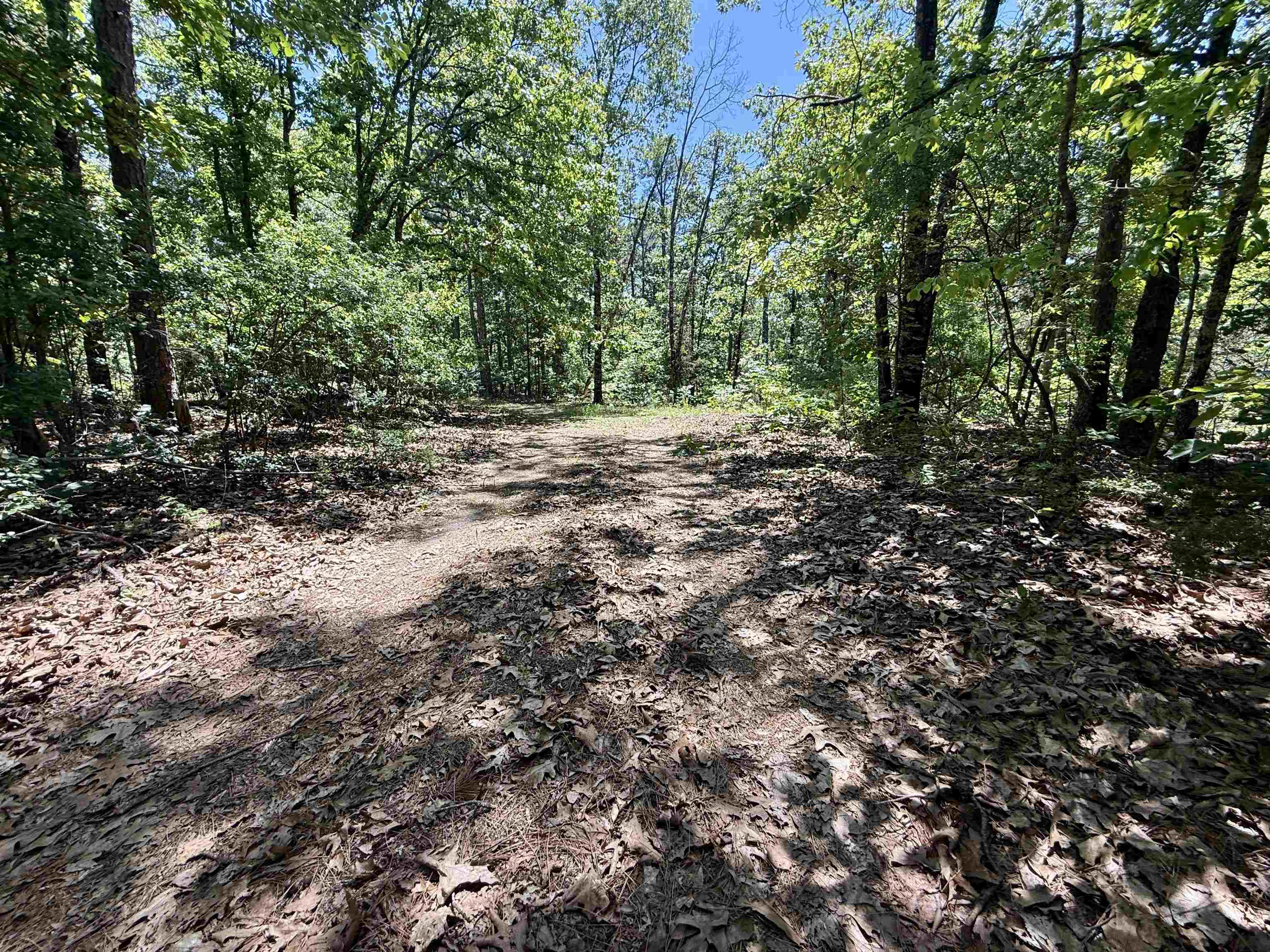 51 Herron Way  Brockwell, AR