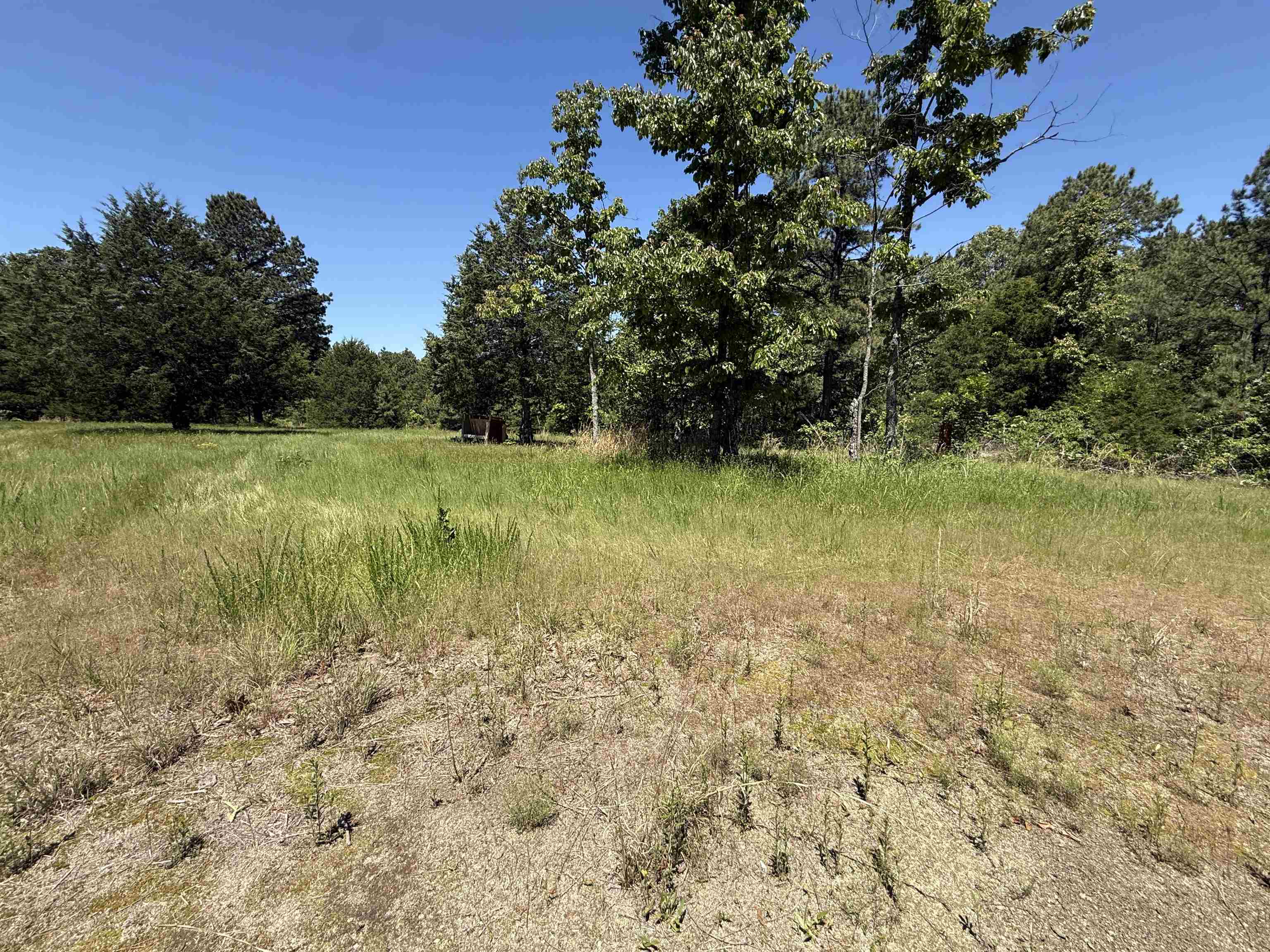 51 Herron Way  Brockwell, AR
