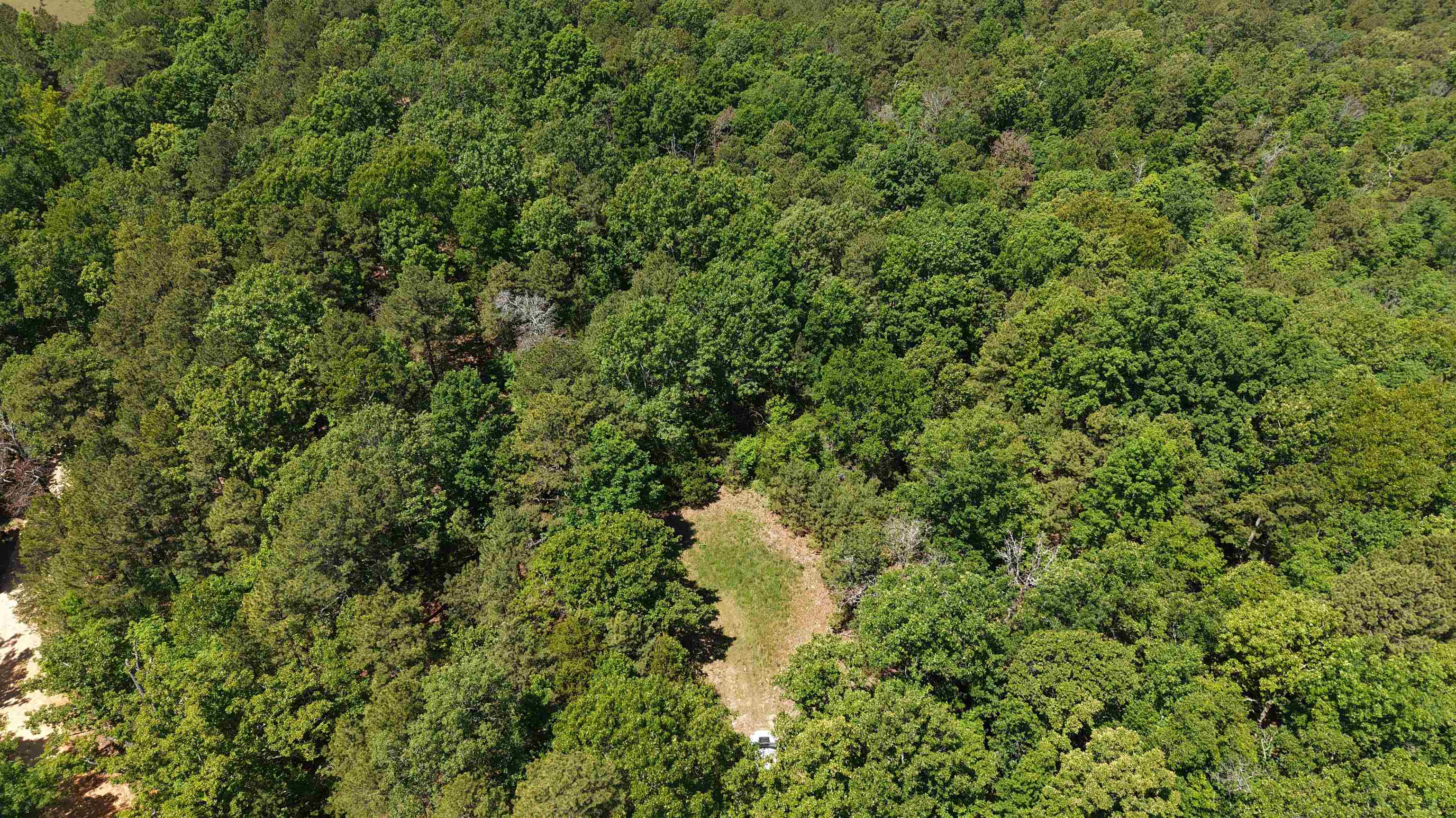 51 Herron Way  Brockwell, AR