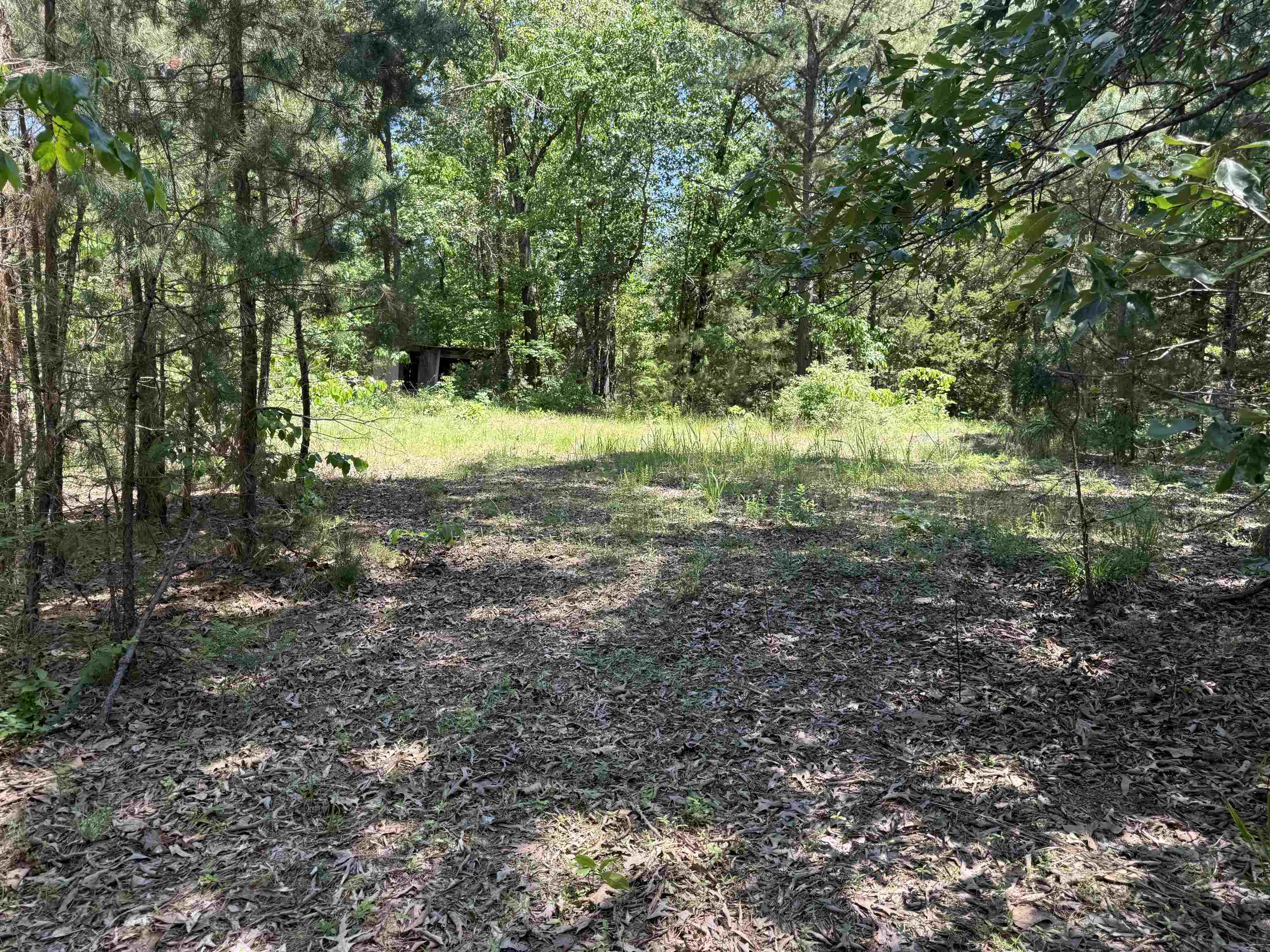 51 Herron Way  Brockwell, AR