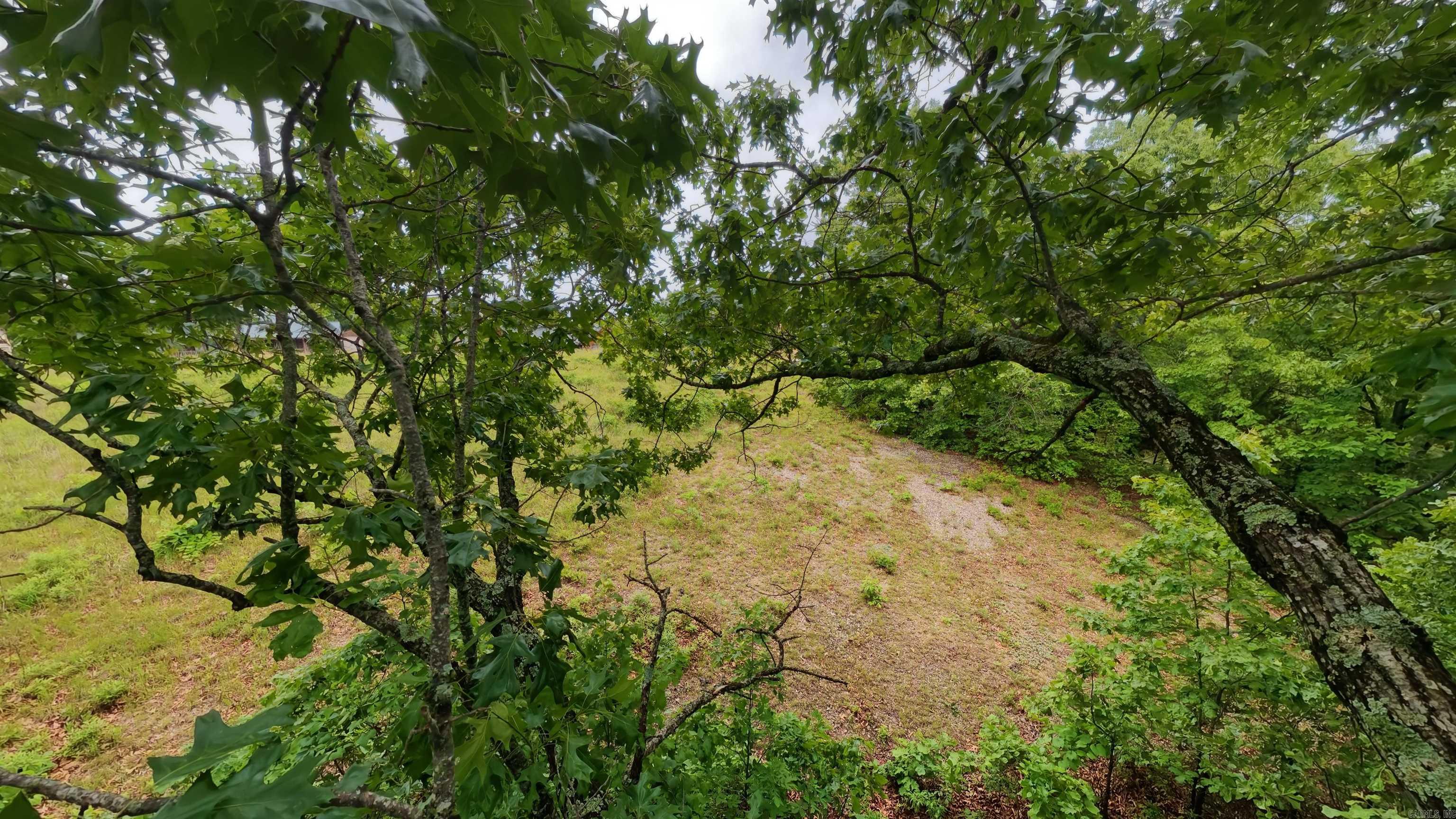 TBD Devils Pool Road  Uncertain, MO