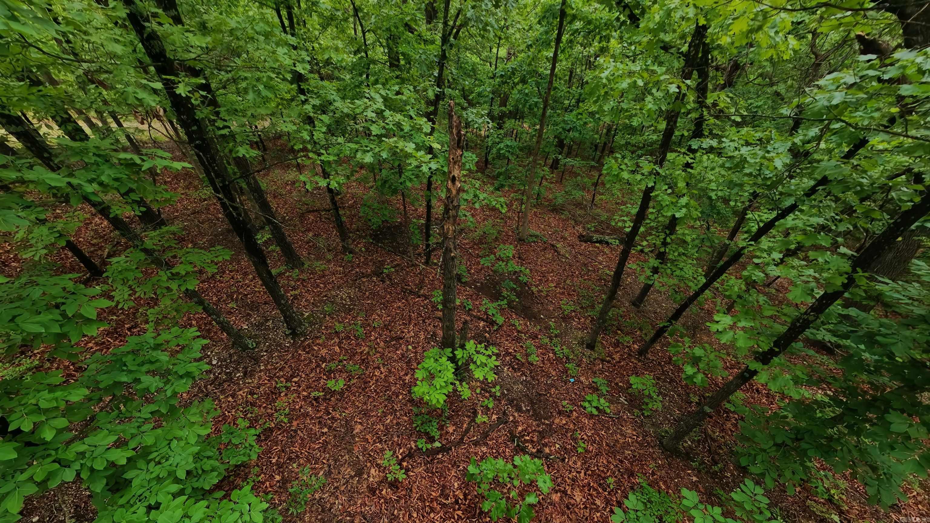 TBD Devils Pool Road  Uncertain, MO