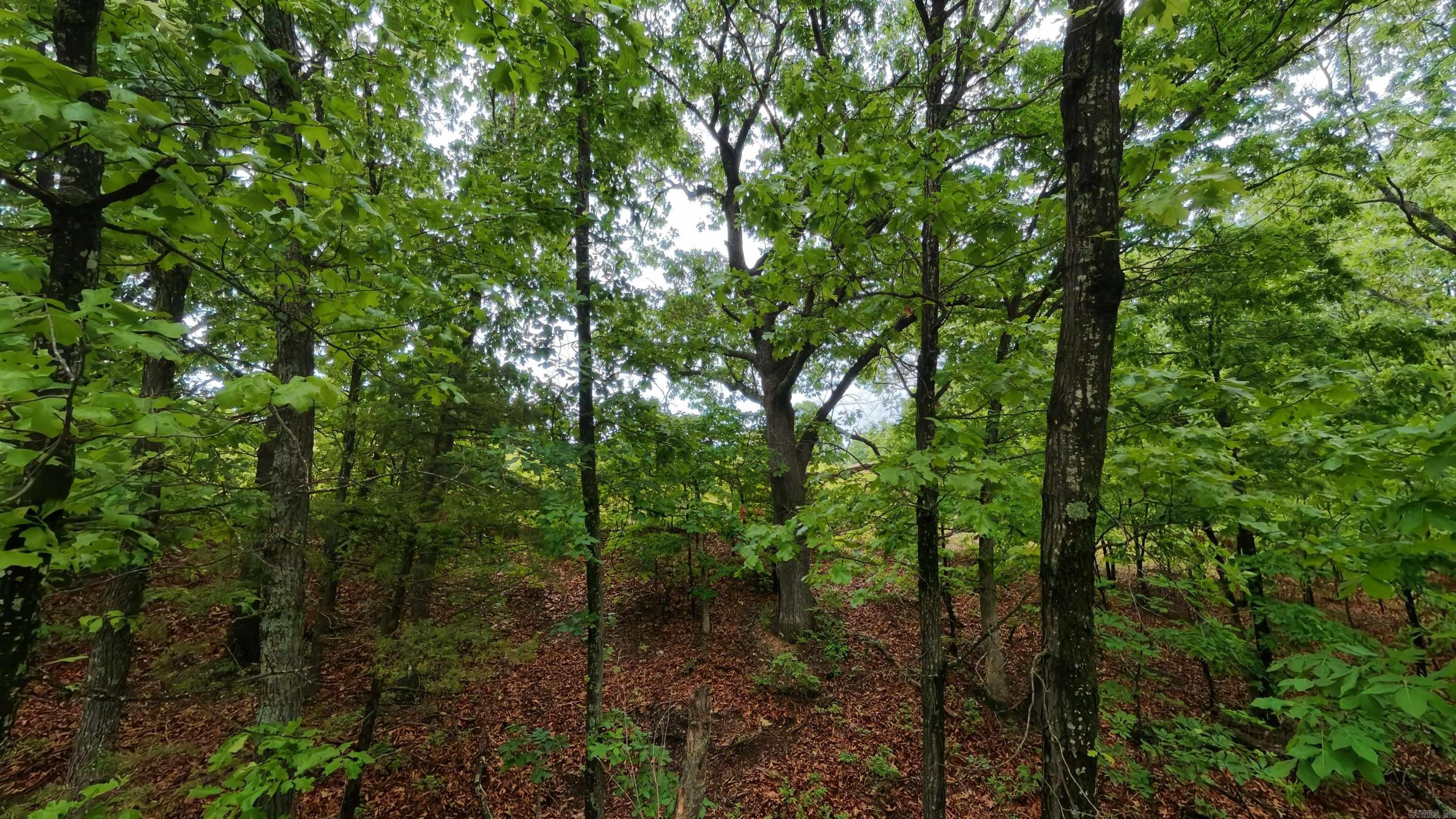 TBD Devils Pool Road  Uncertain, MO