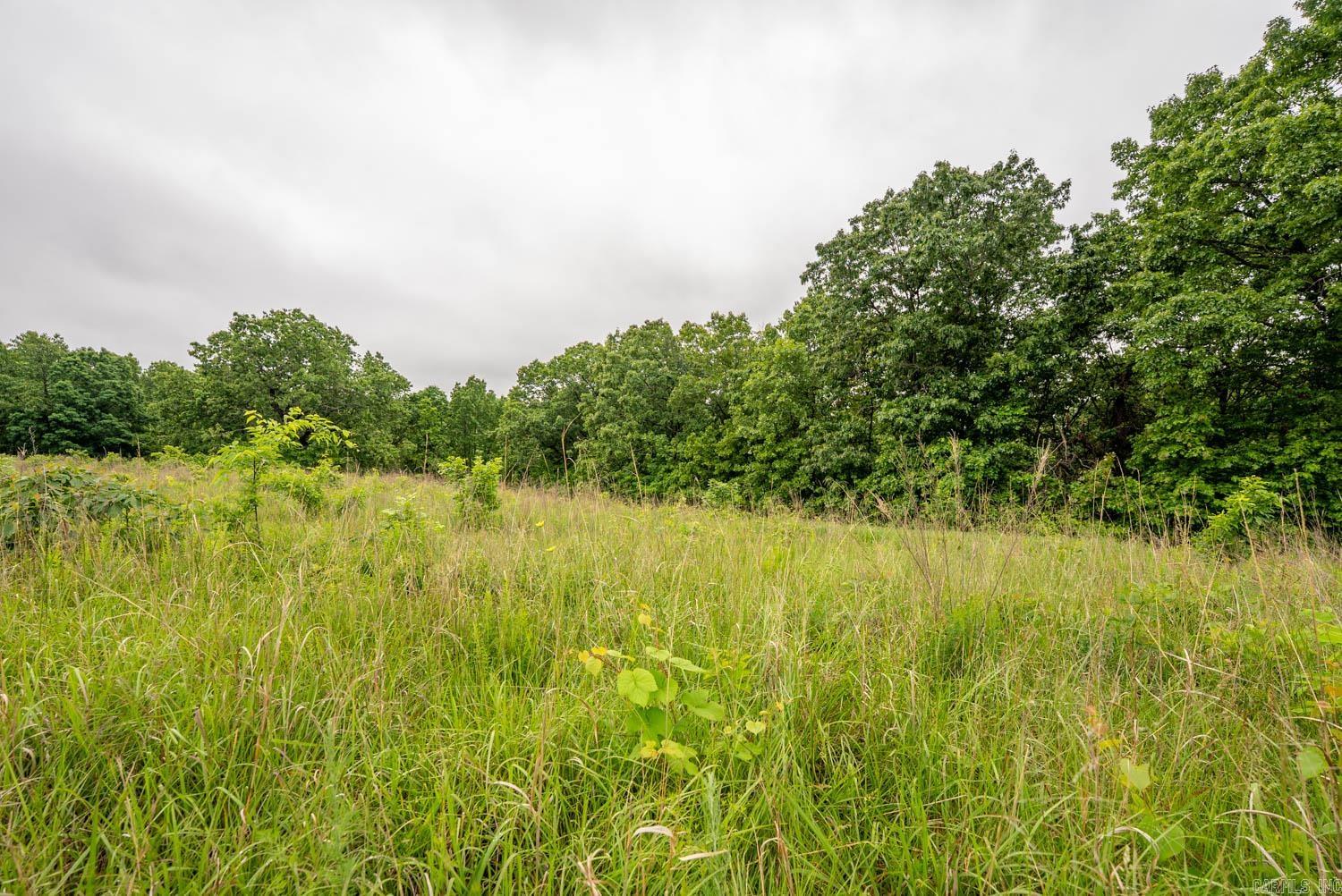 TBD Devils Pool Road  Uncertain, MO