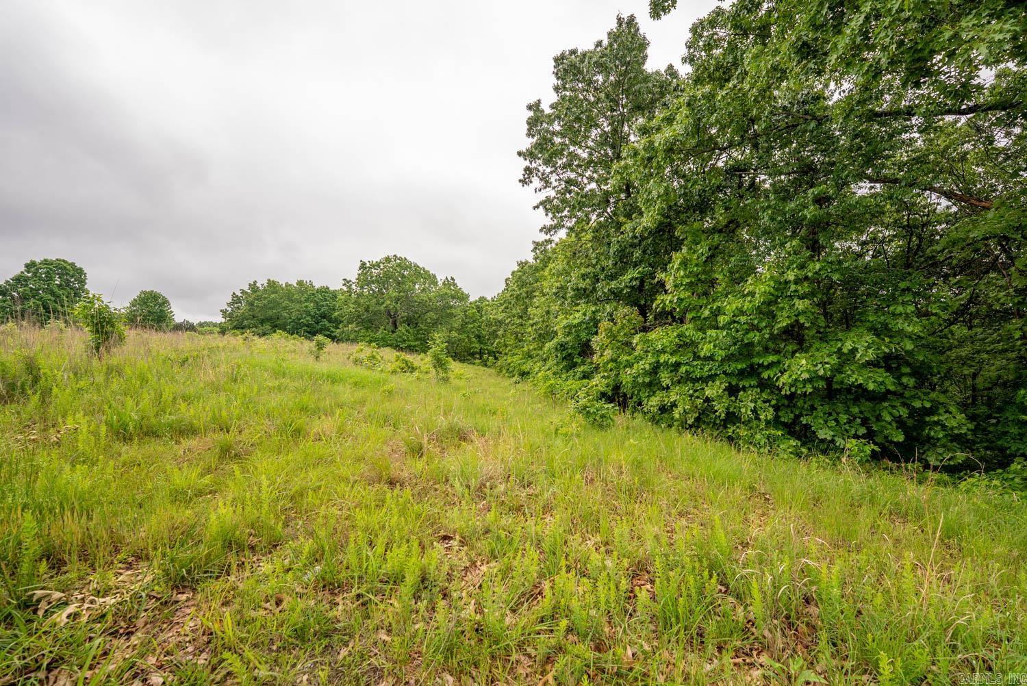 TBD Devils Pool Road  Uncertain, MO