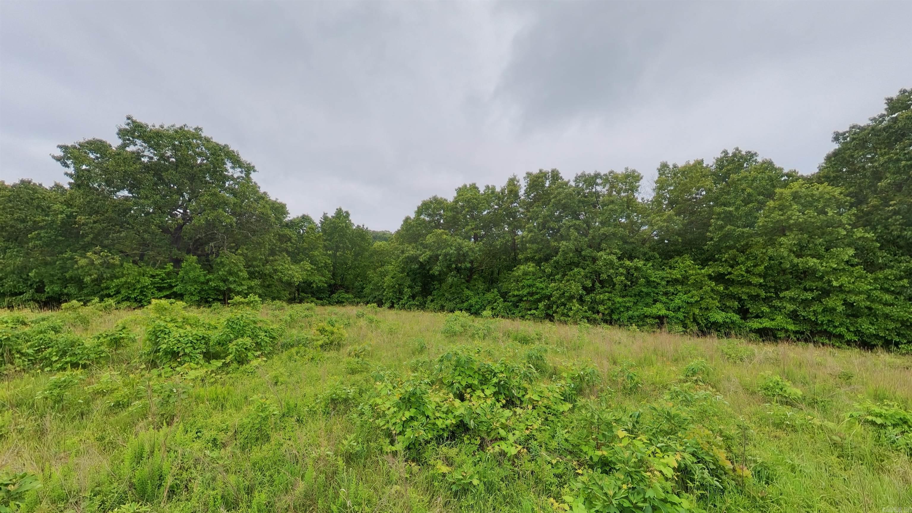 TBD Devils Pool Road  Uncertain, MO