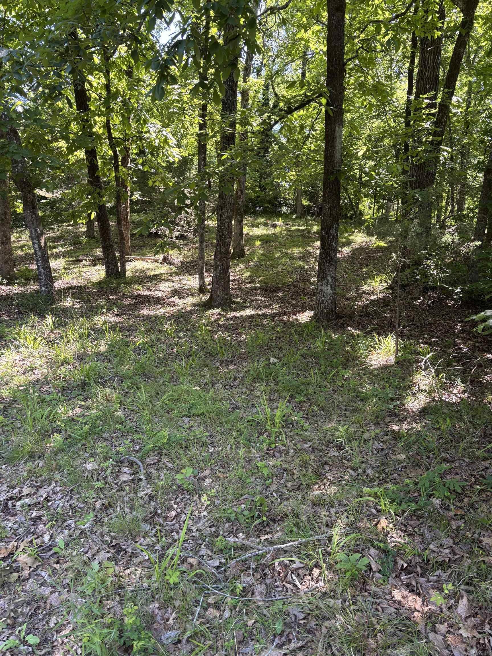 TBD N Crystal Springs  Royal, AR
