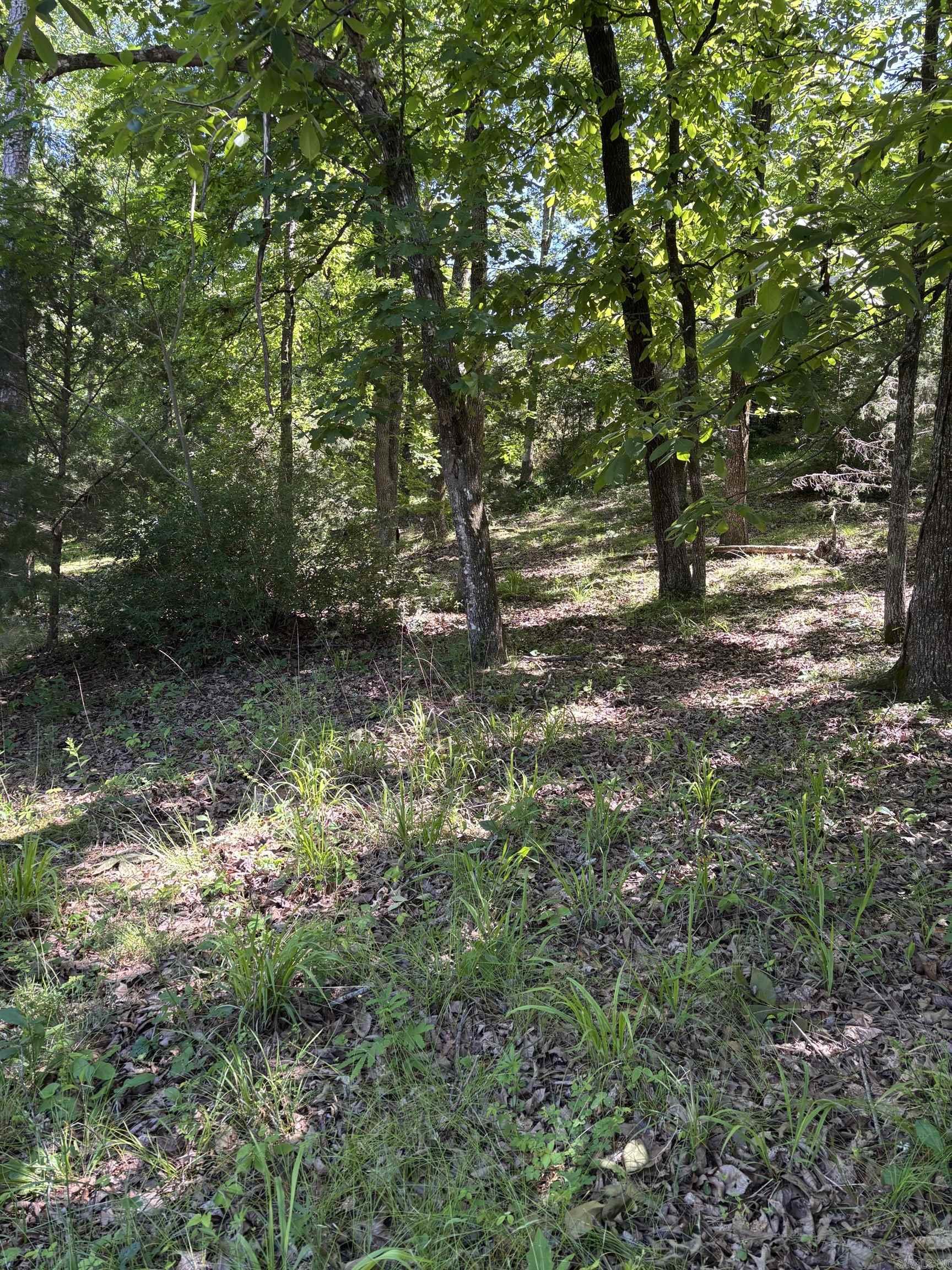 TBD N Crystal Springs  Royal, AR