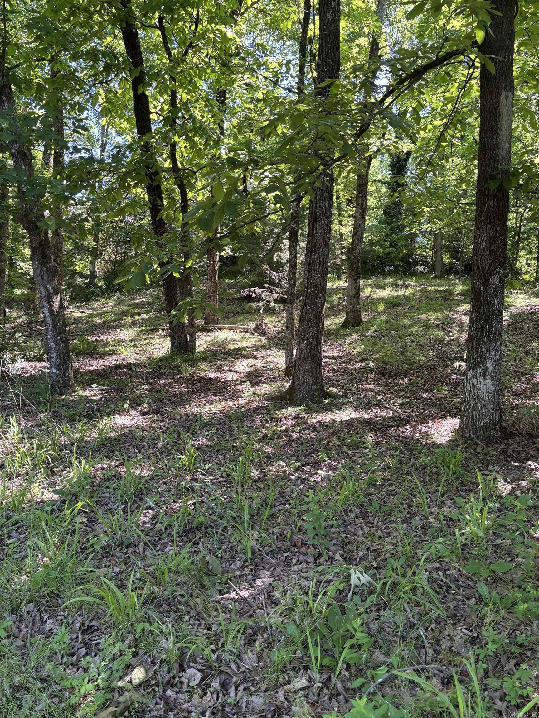 TBD N Crystal Springs  Royal, AR