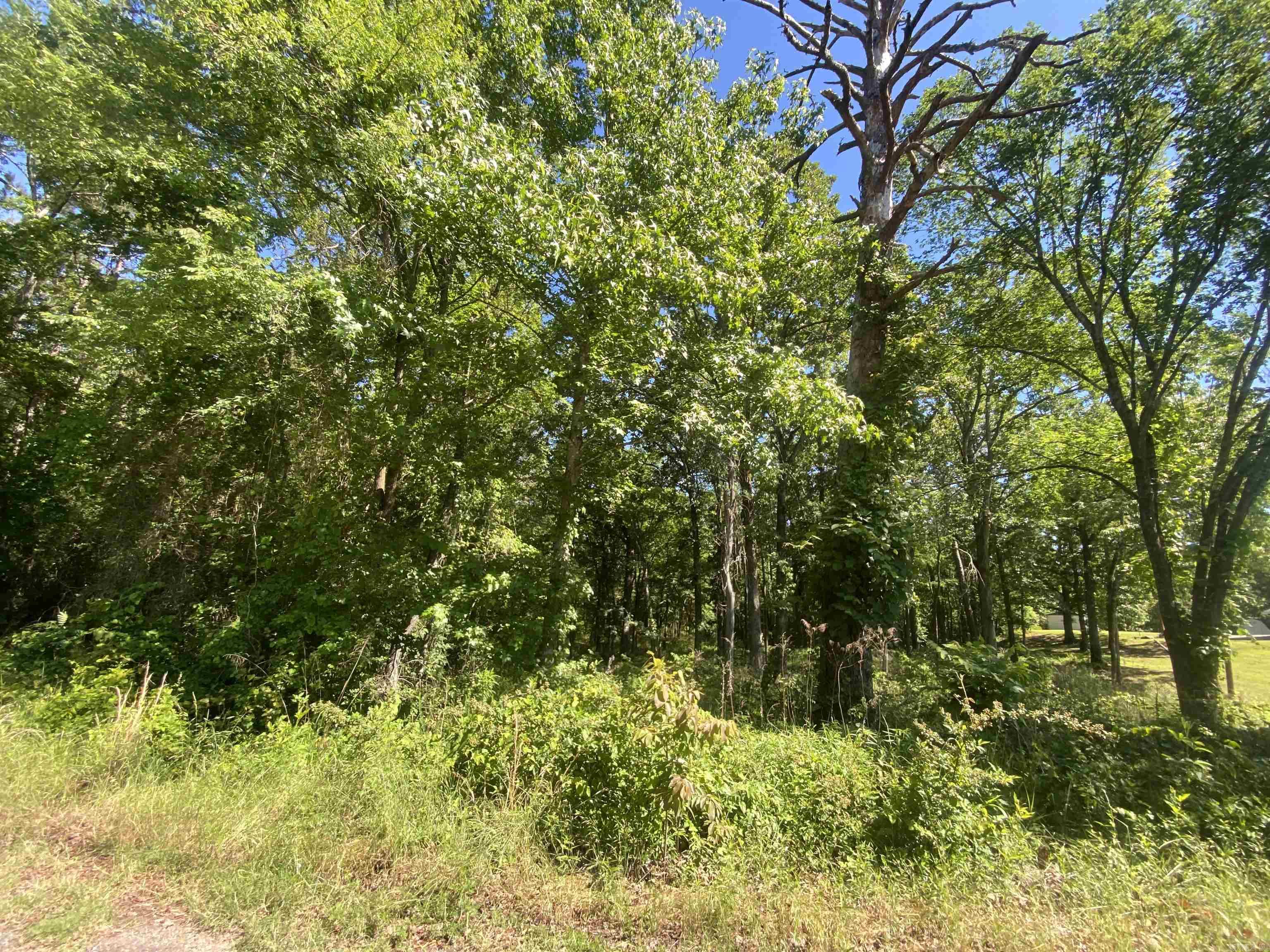 TBD Housing Authority TBD Golden Road Mount Ida, AR