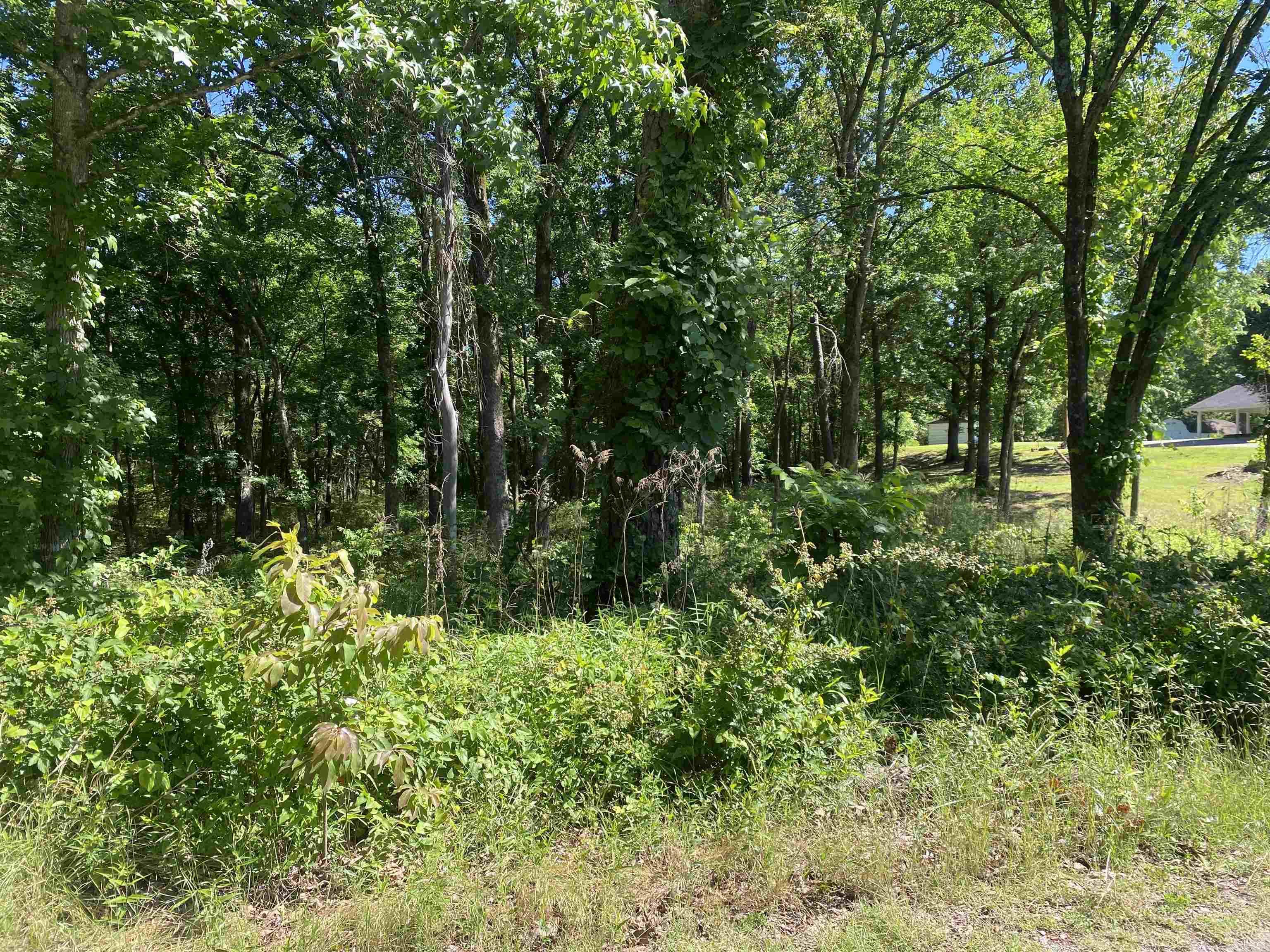 TBD Housing Authority TBD Golden Road Mount Ida, AR