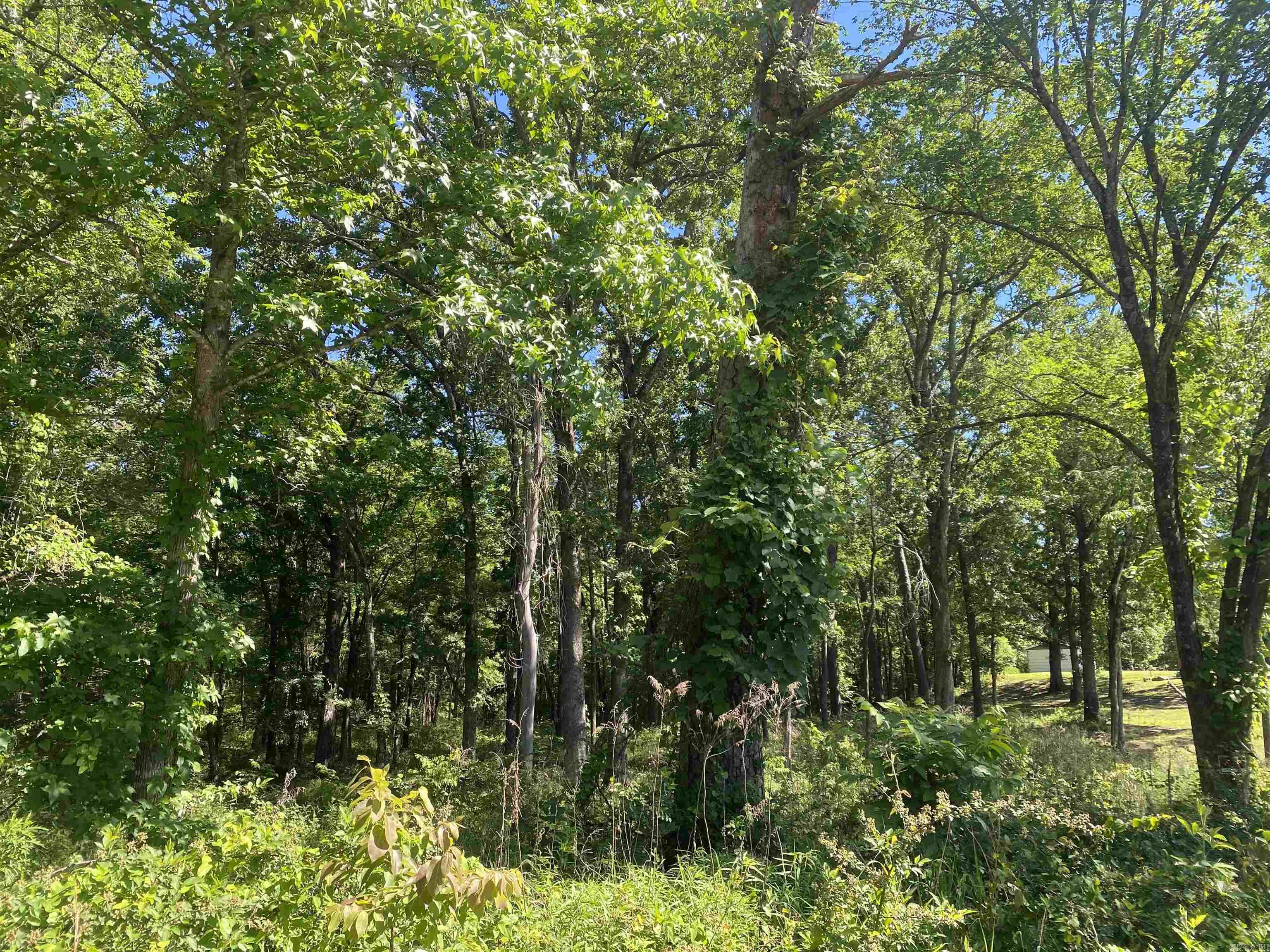 TBD Housing Authority TBD Golden Road Mount Ida, AR