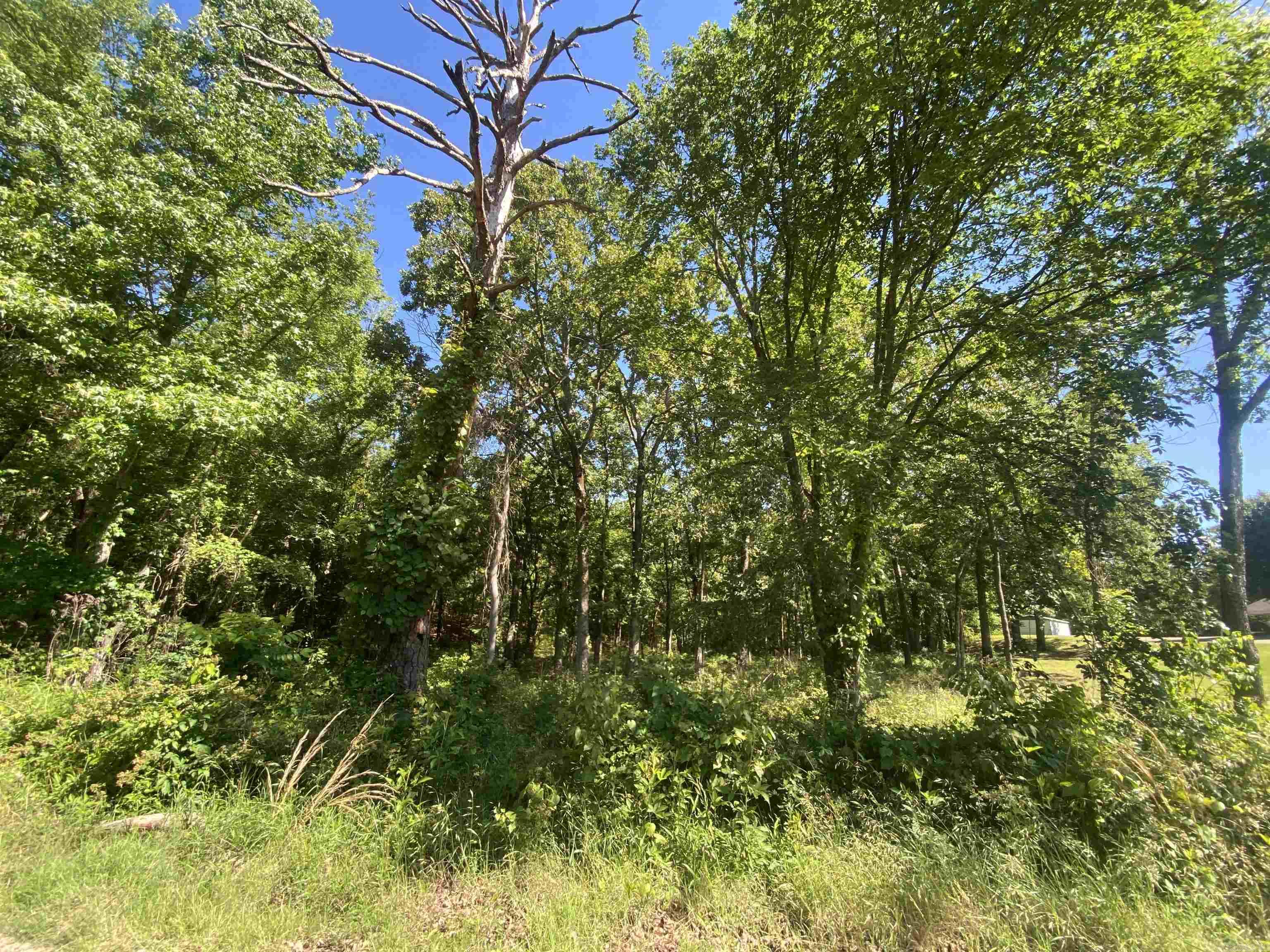 TBD Housing Authority TBD Golden Road Mount Ida, AR