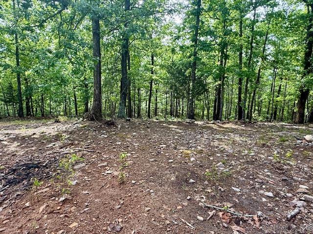 14350 Hwy 298  Story, AR