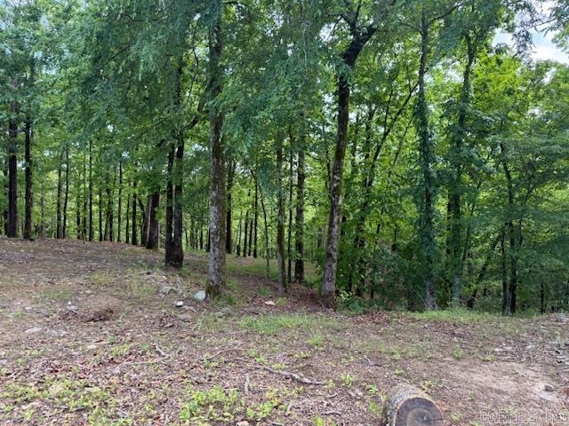 14350 Hwy 298  Story, AR