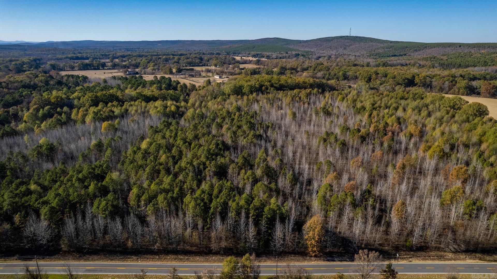 Lot 2 Roland Woods, HWY 300  Roland, AR