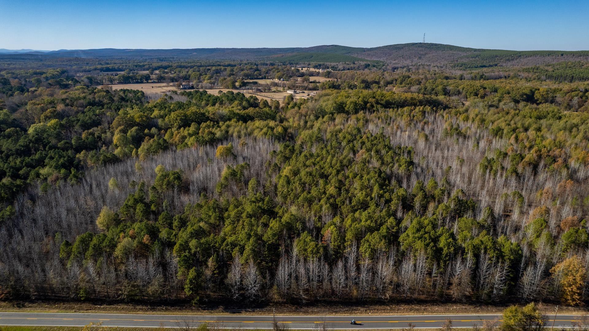 Lot 3 Roland Woods, HWY 300  Roland, AR
