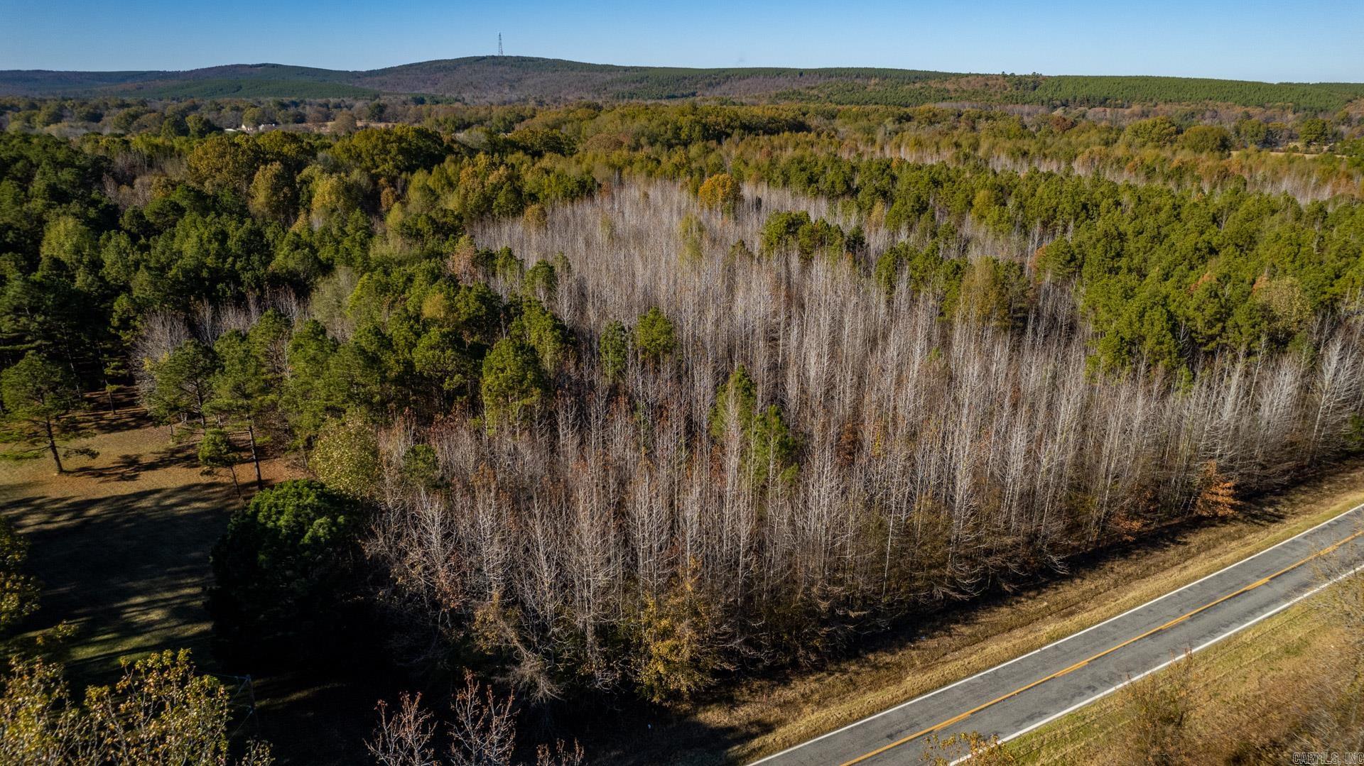 Lot 4 Roland Woods, HWY 300  Roland, AR