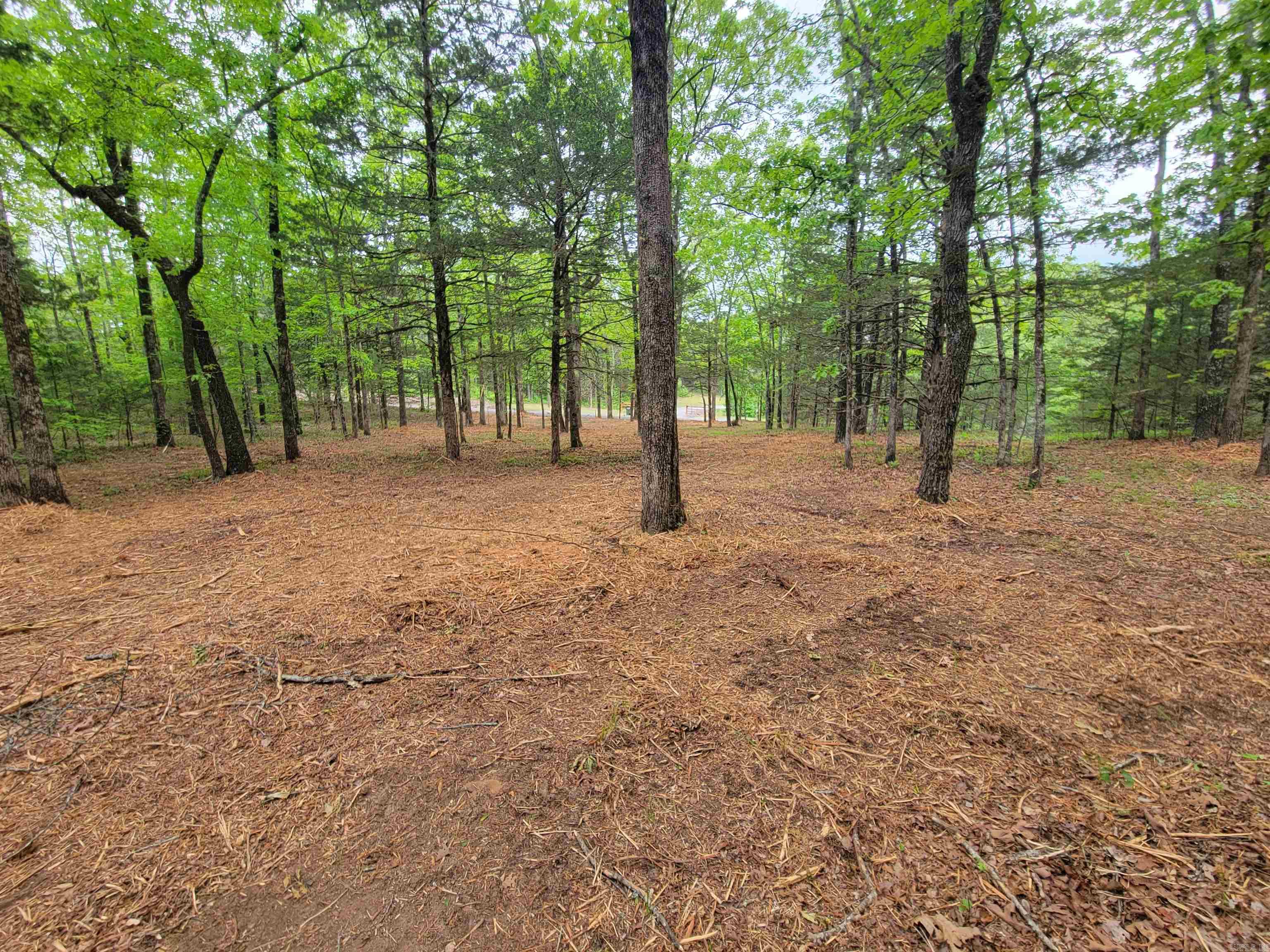 00 McNew Cemetery Road  Greenbrier, AR
