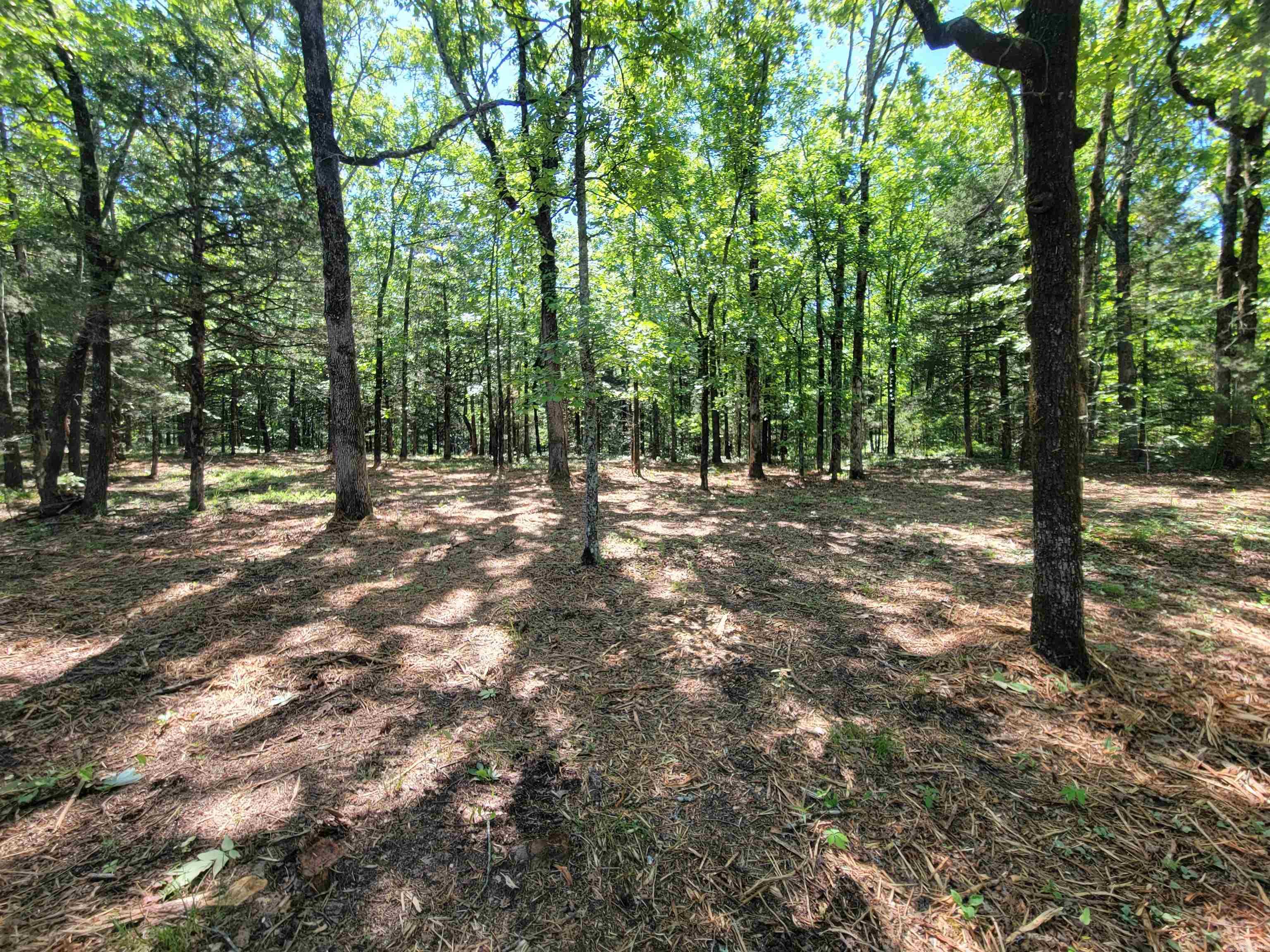 00 McNew Cemetery Road  Greenbrier, AR