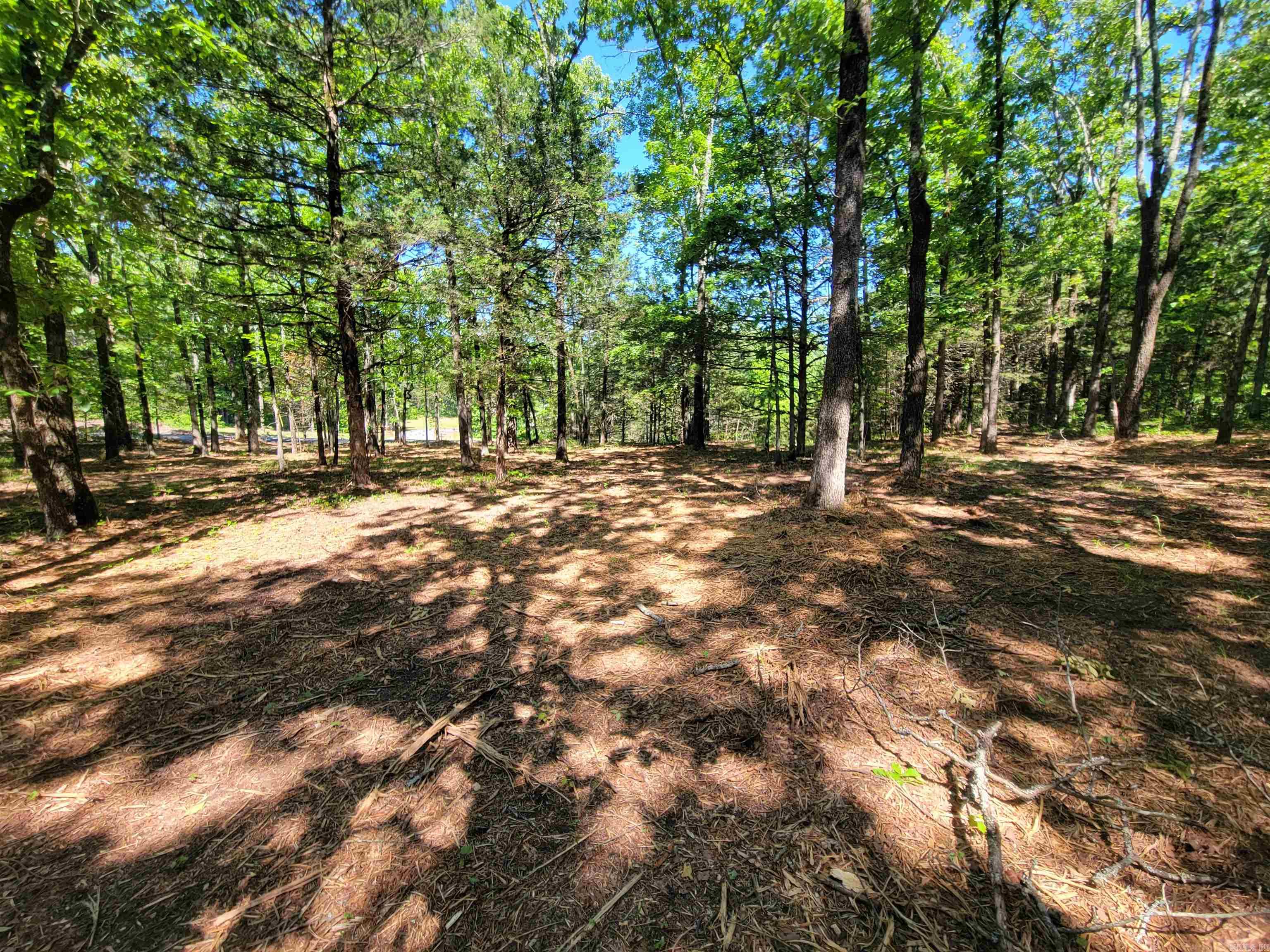 00 McNew Cemetery Road  Greenbrier, AR