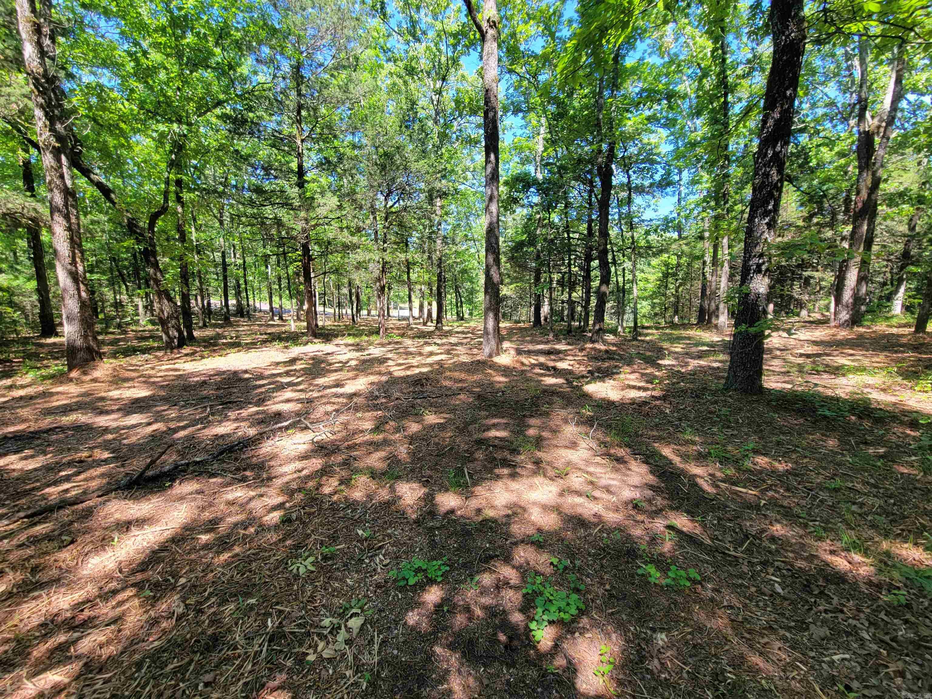 00 McNew Cemetery Road  Greenbrier, AR