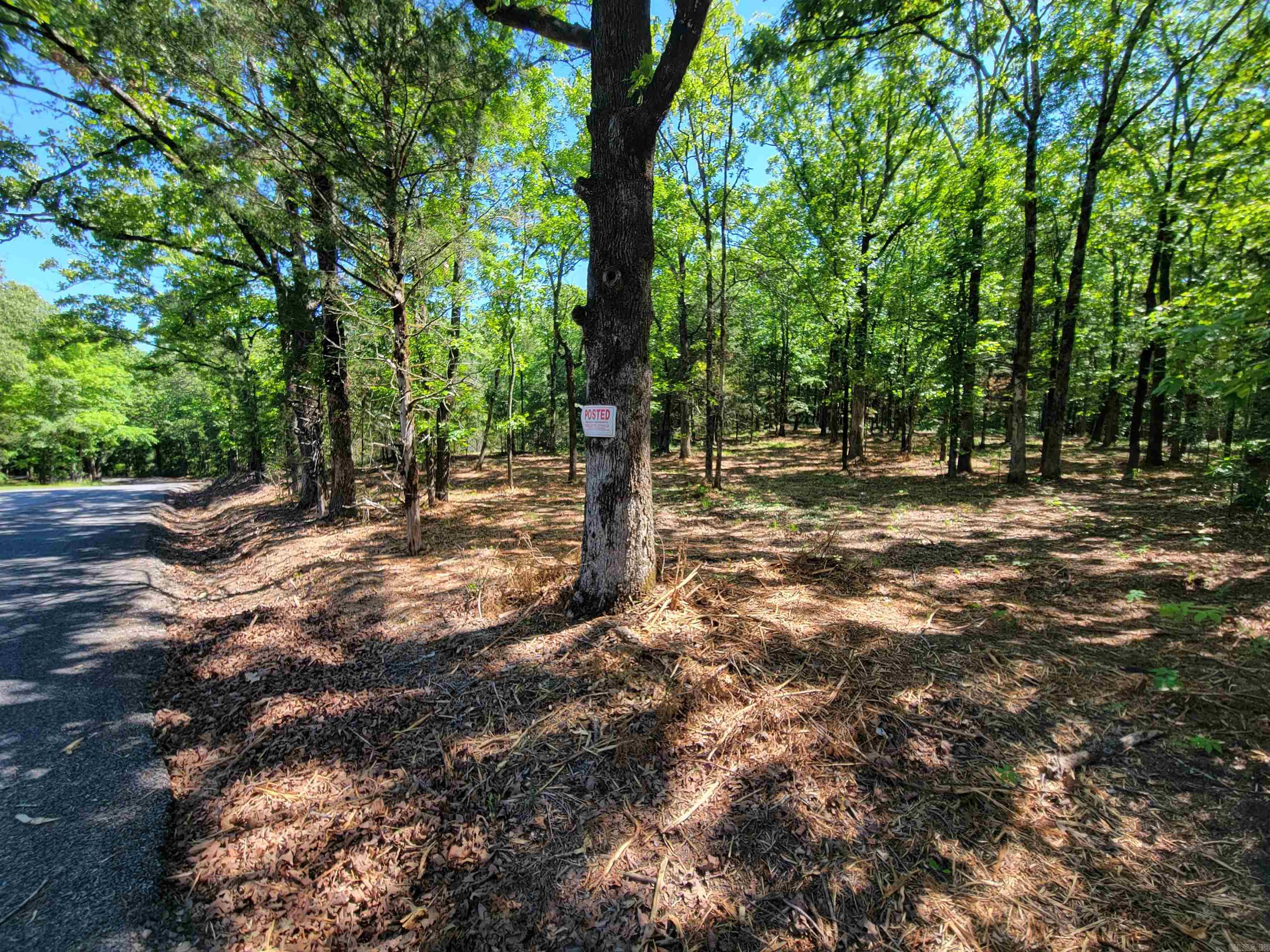 00 McNew Cemetery Road  Greenbrier, AR