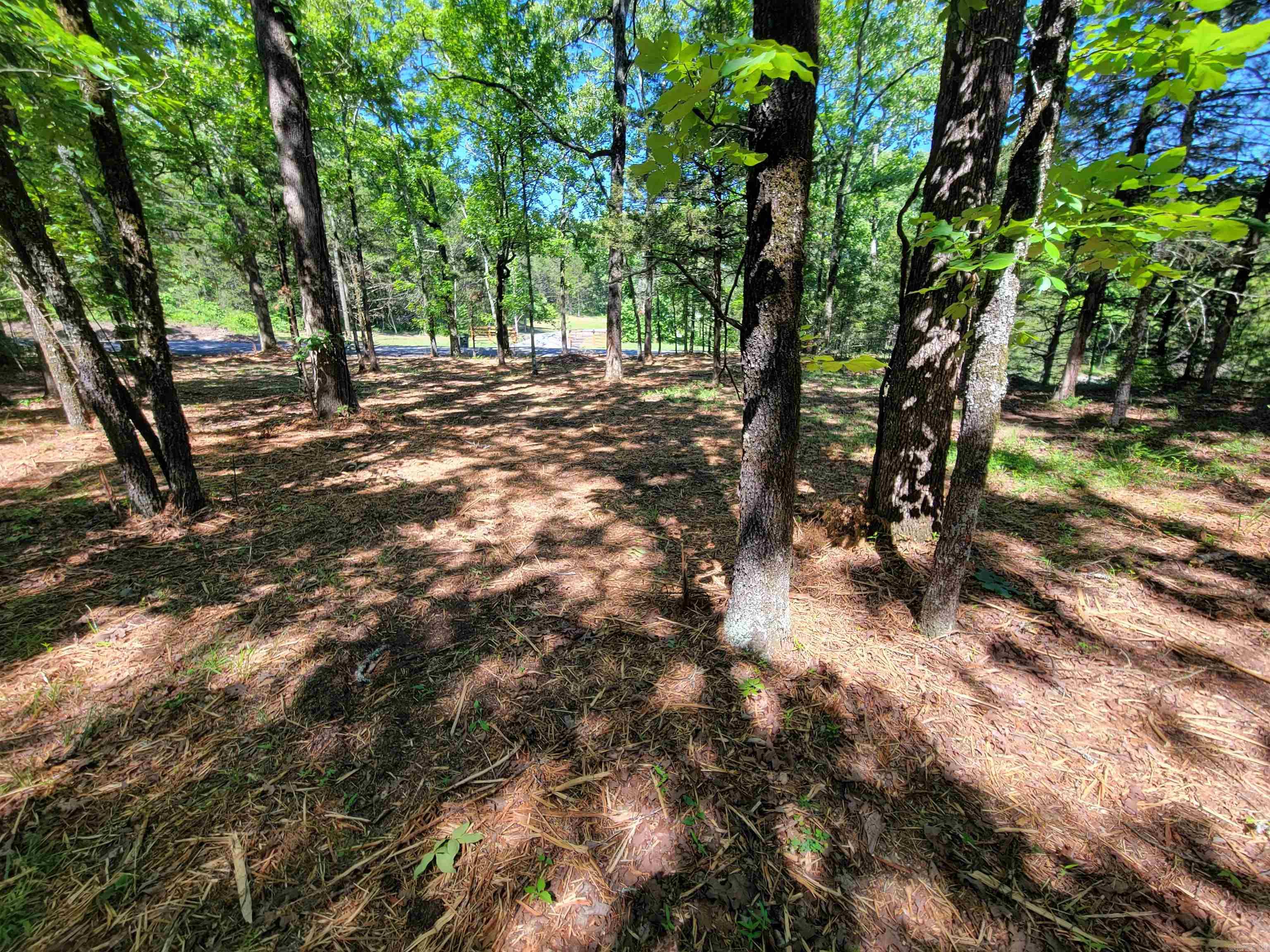 00 McNew Cemetery Road  Greenbrier, AR
