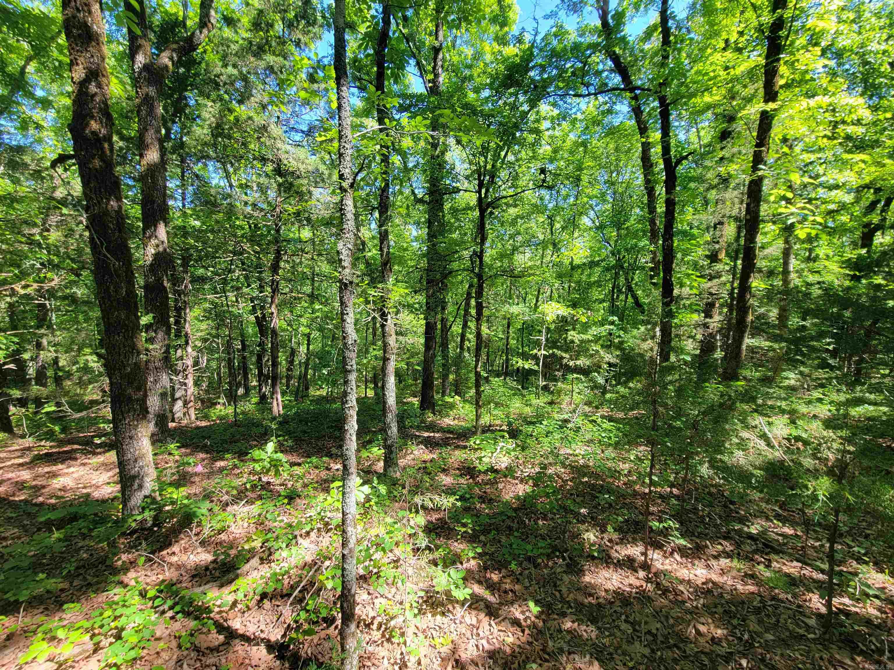 00 McNew Cemetery Road  Greenbrier, AR