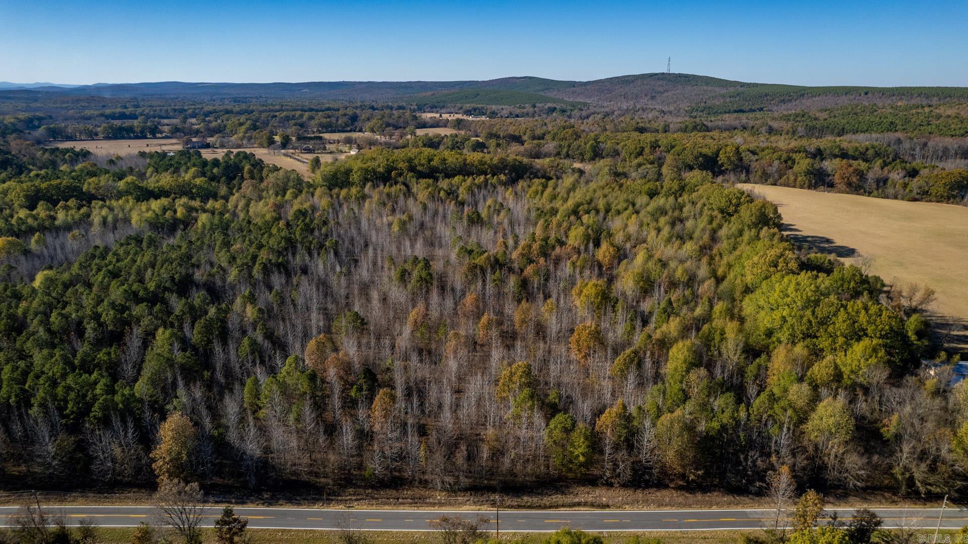 Tract 5 Roland Woods, HWY 300  Roland, AR