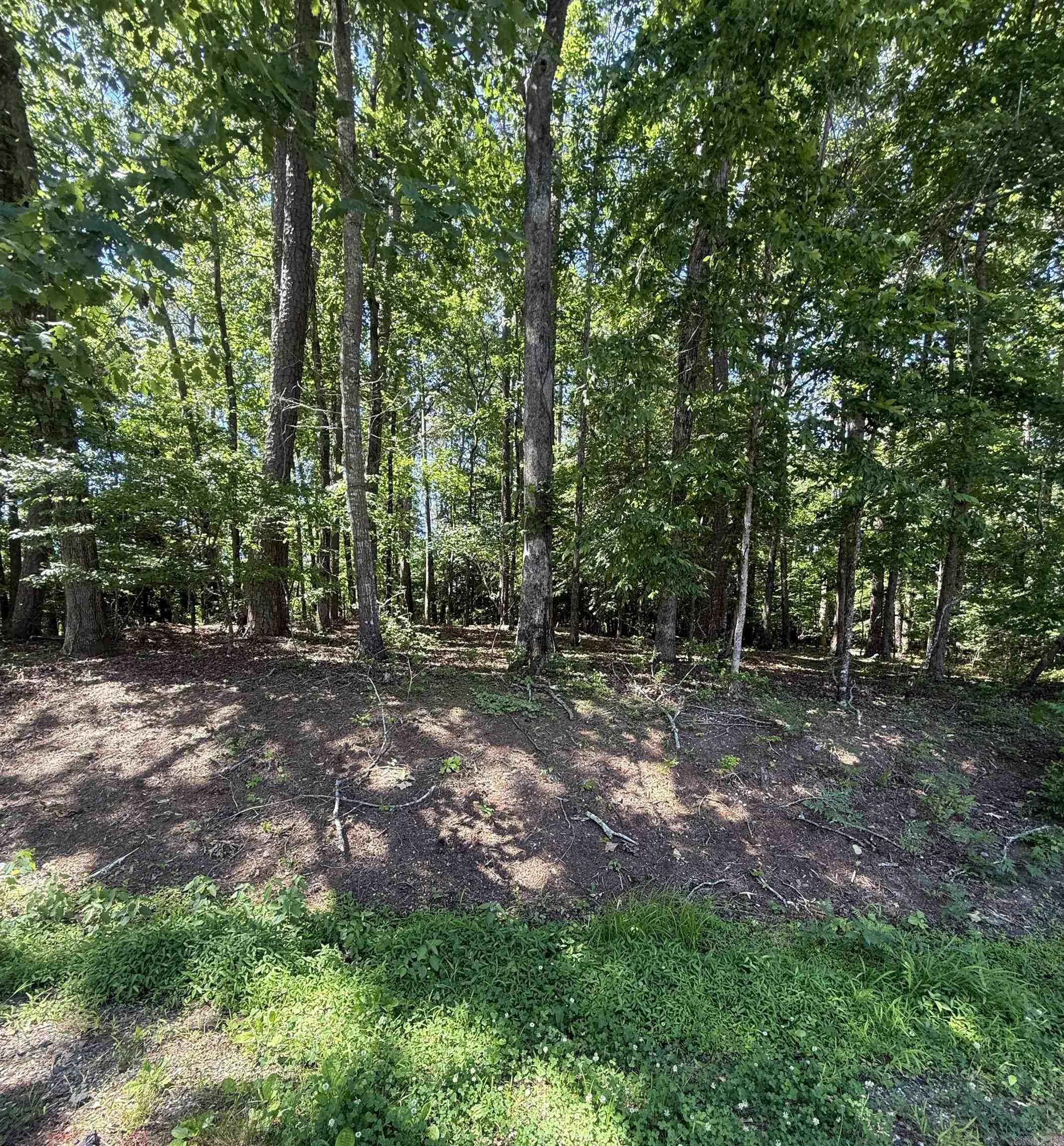 89 Arjona  Hot Springs Village, AR