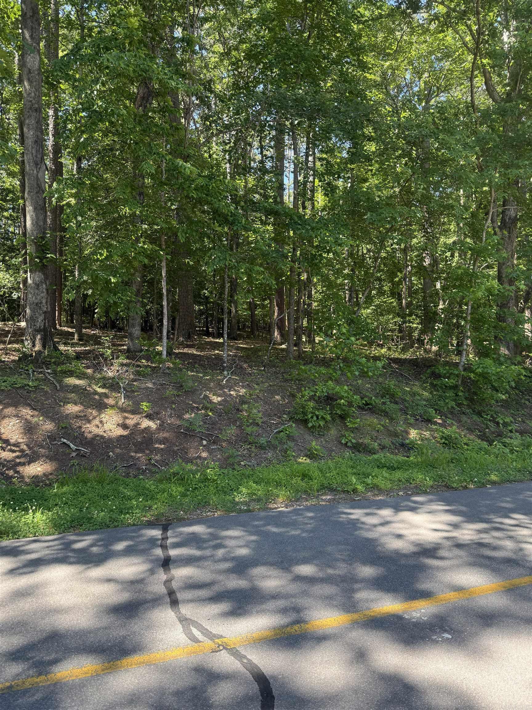 89 Arjona  Hot Springs Village, AR