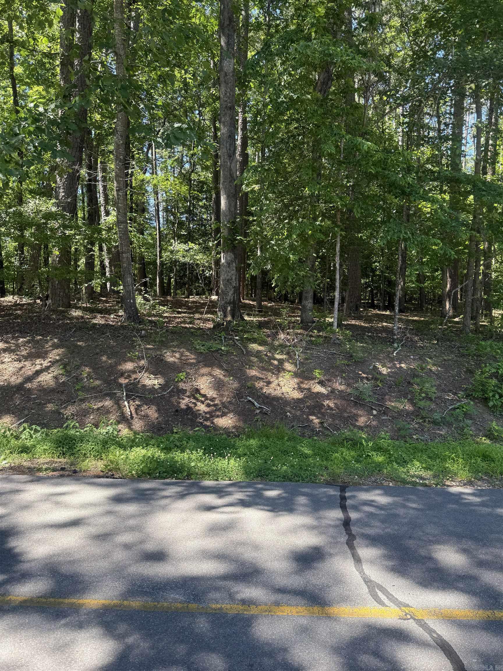 89 Arjona  Hot Springs Village, AR