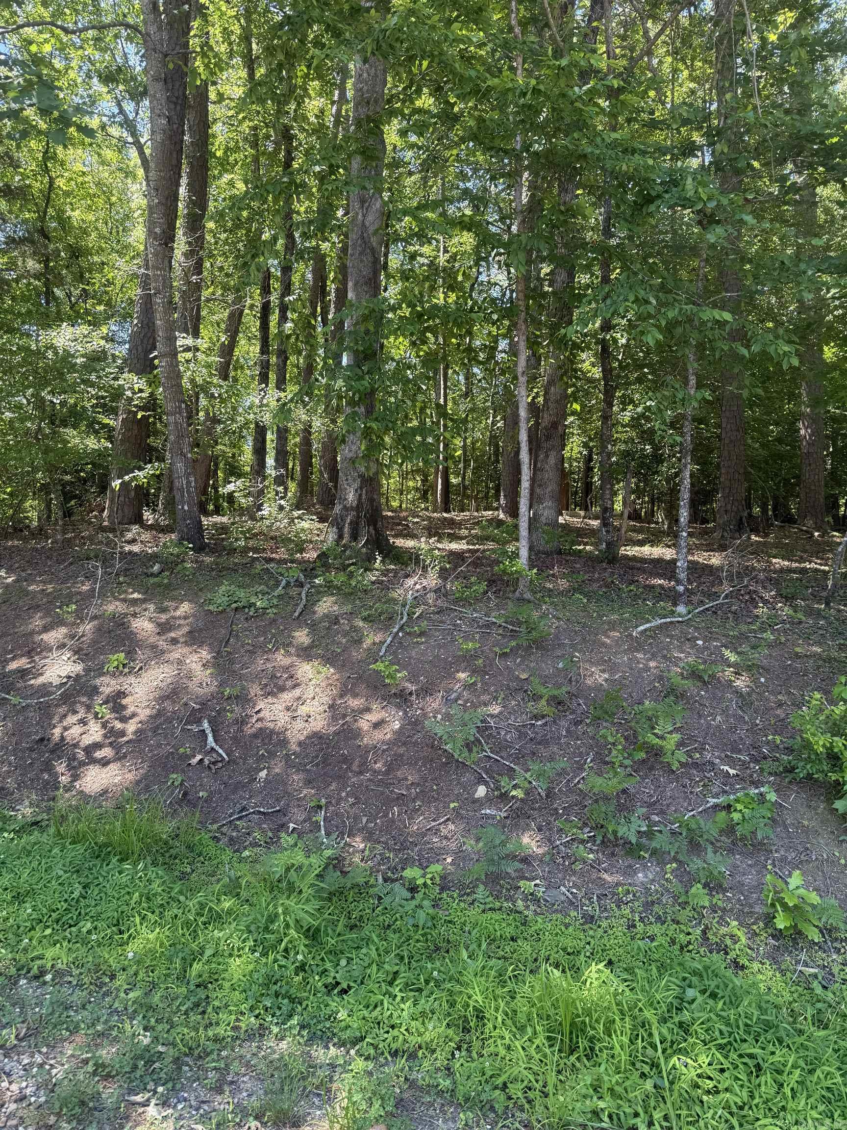 89 Arjona  Hot Springs Village, AR