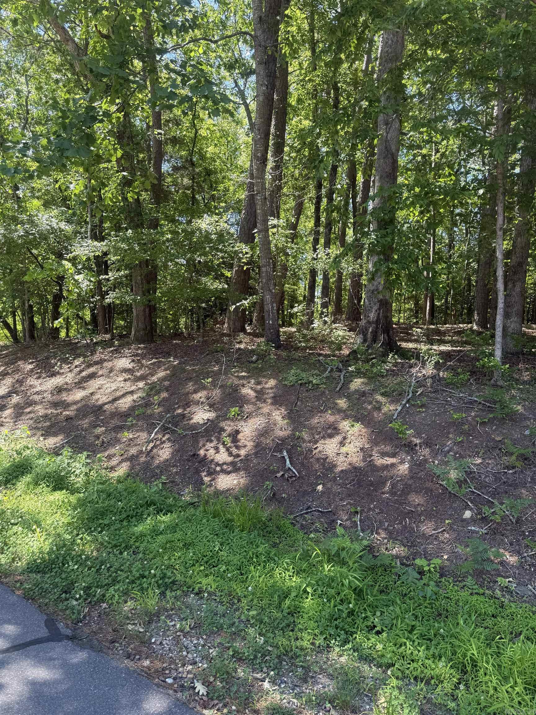 89 Arjona  Hot Springs Village, AR