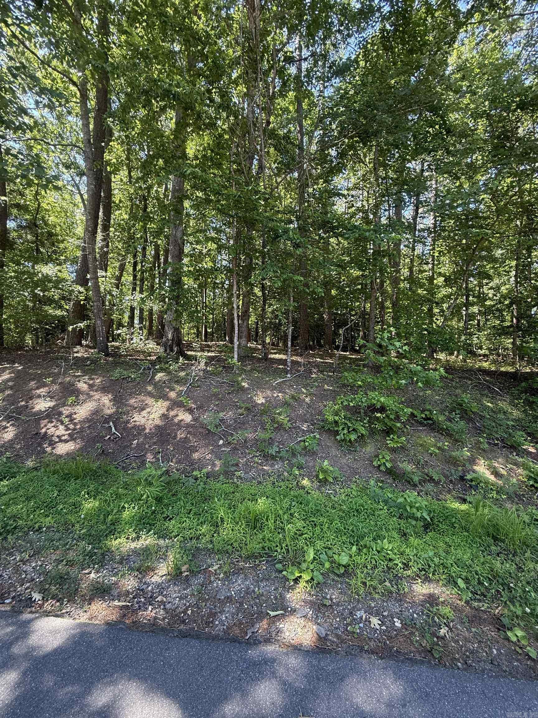 89 Arjona  Hot Springs Village, AR
