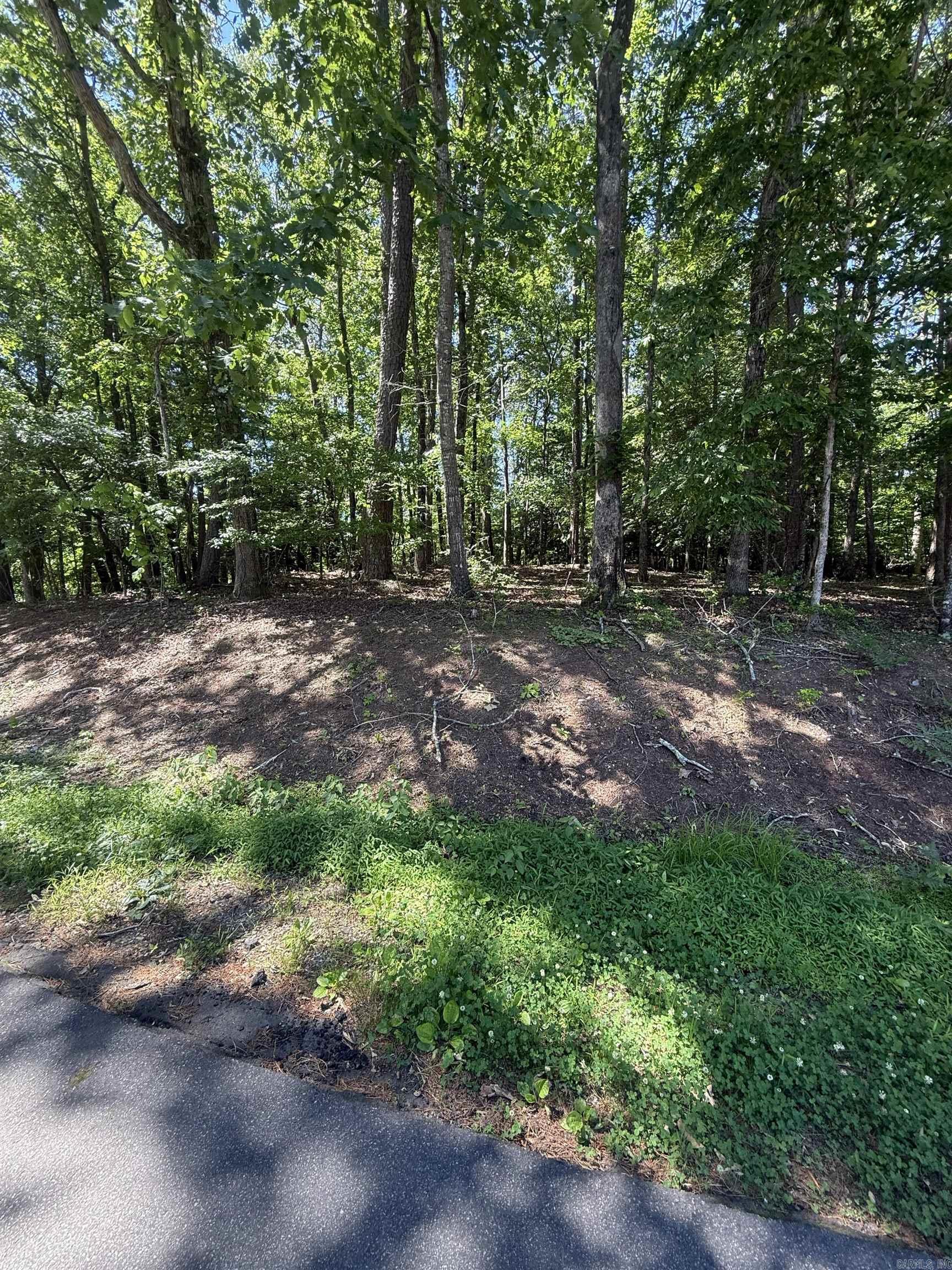 89 Arjona  Hot Springs Village, AR