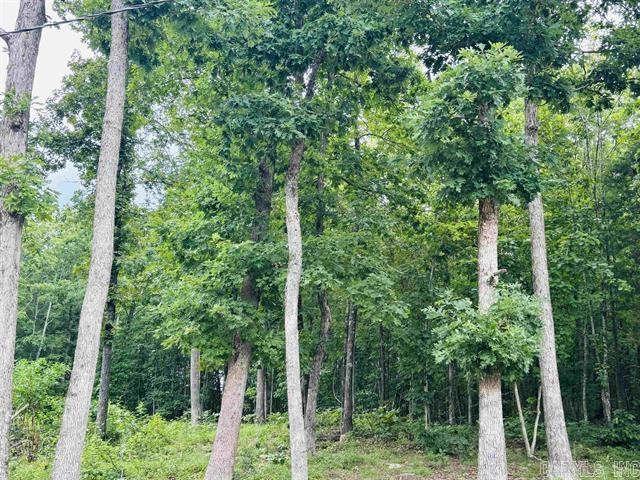 1472 B Petters Road  Mountain View, AR