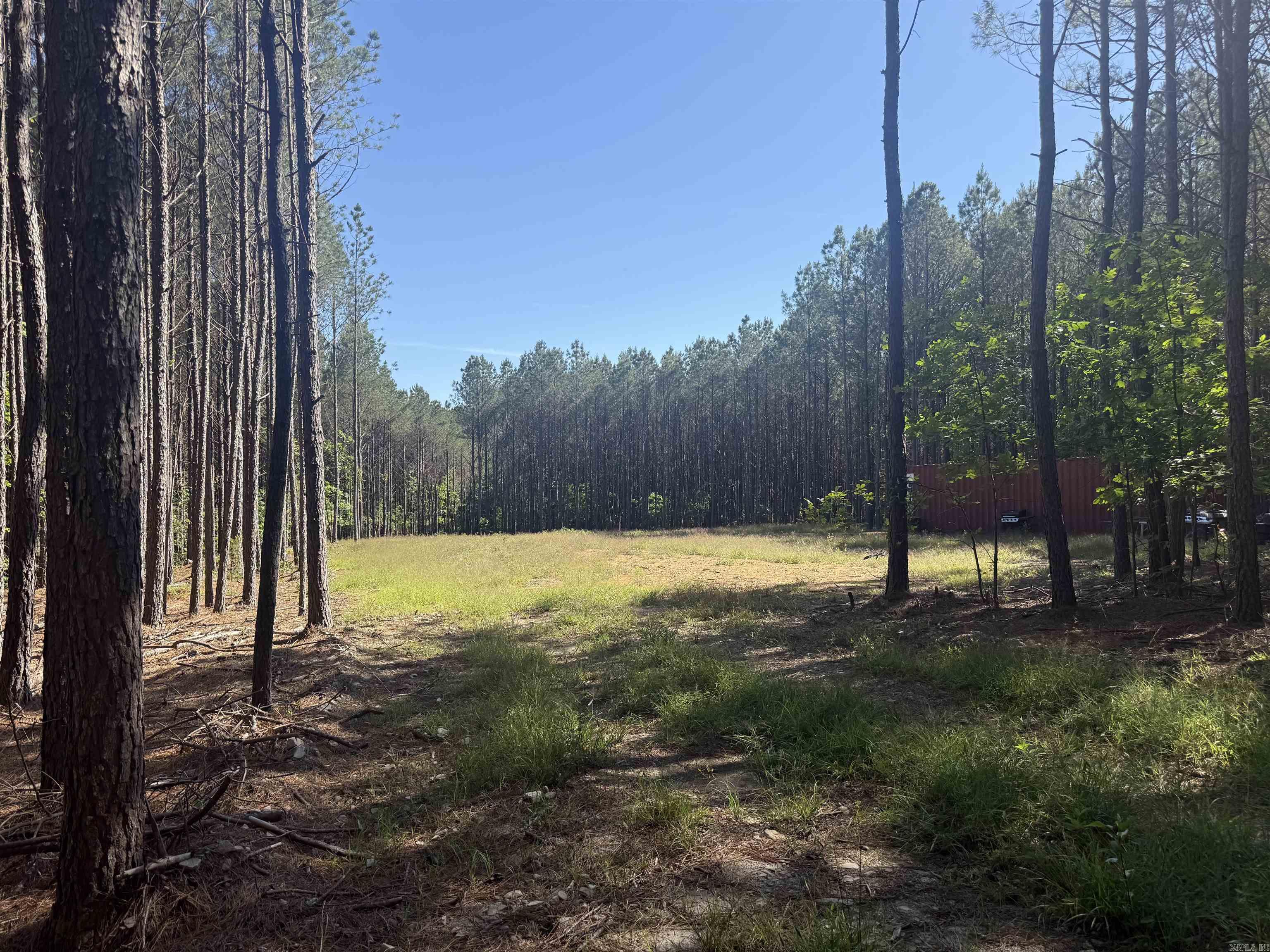 571 Stihl  Hot Springs, AR