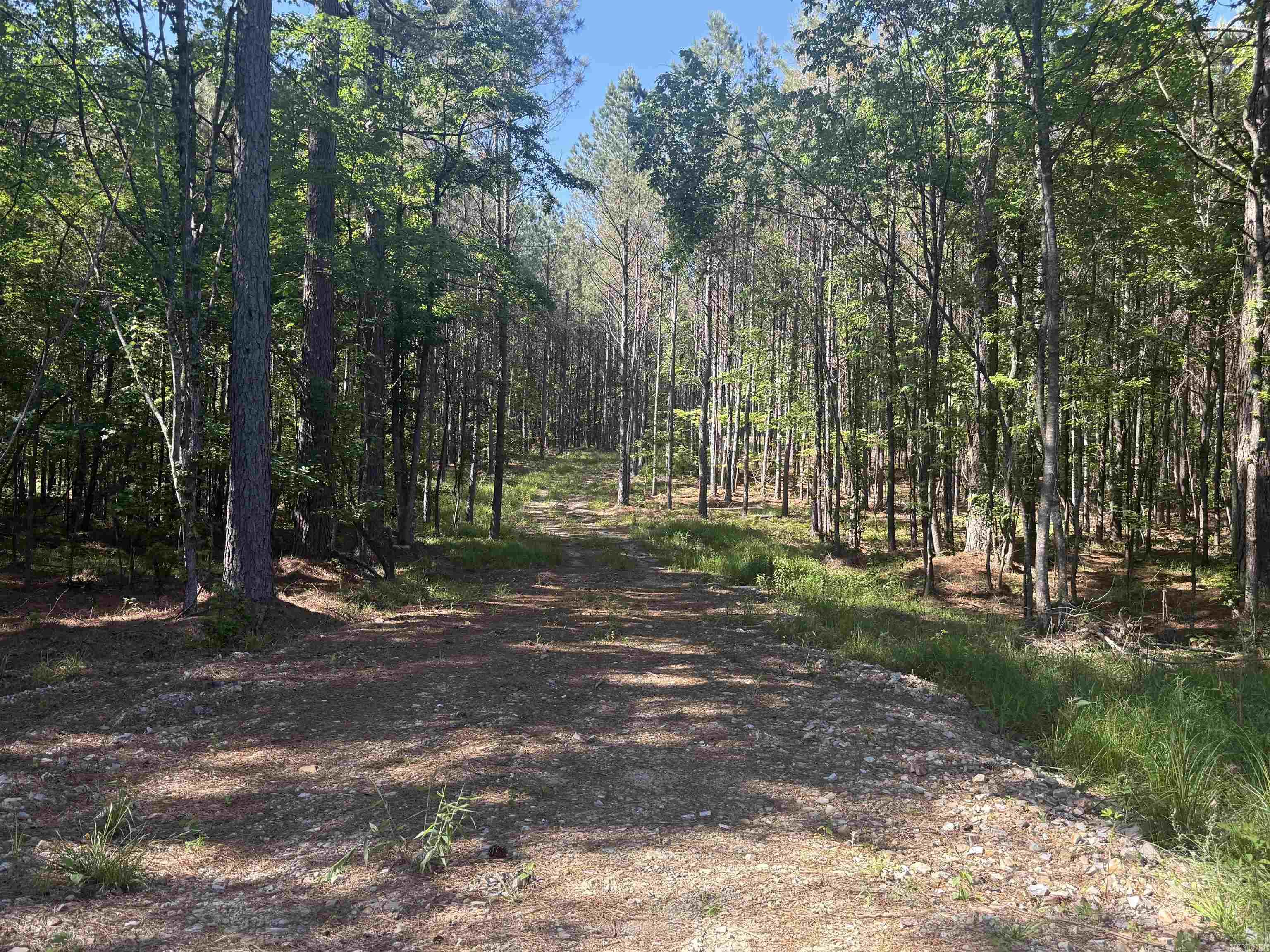 571 Stihl  Hot Springs, AR