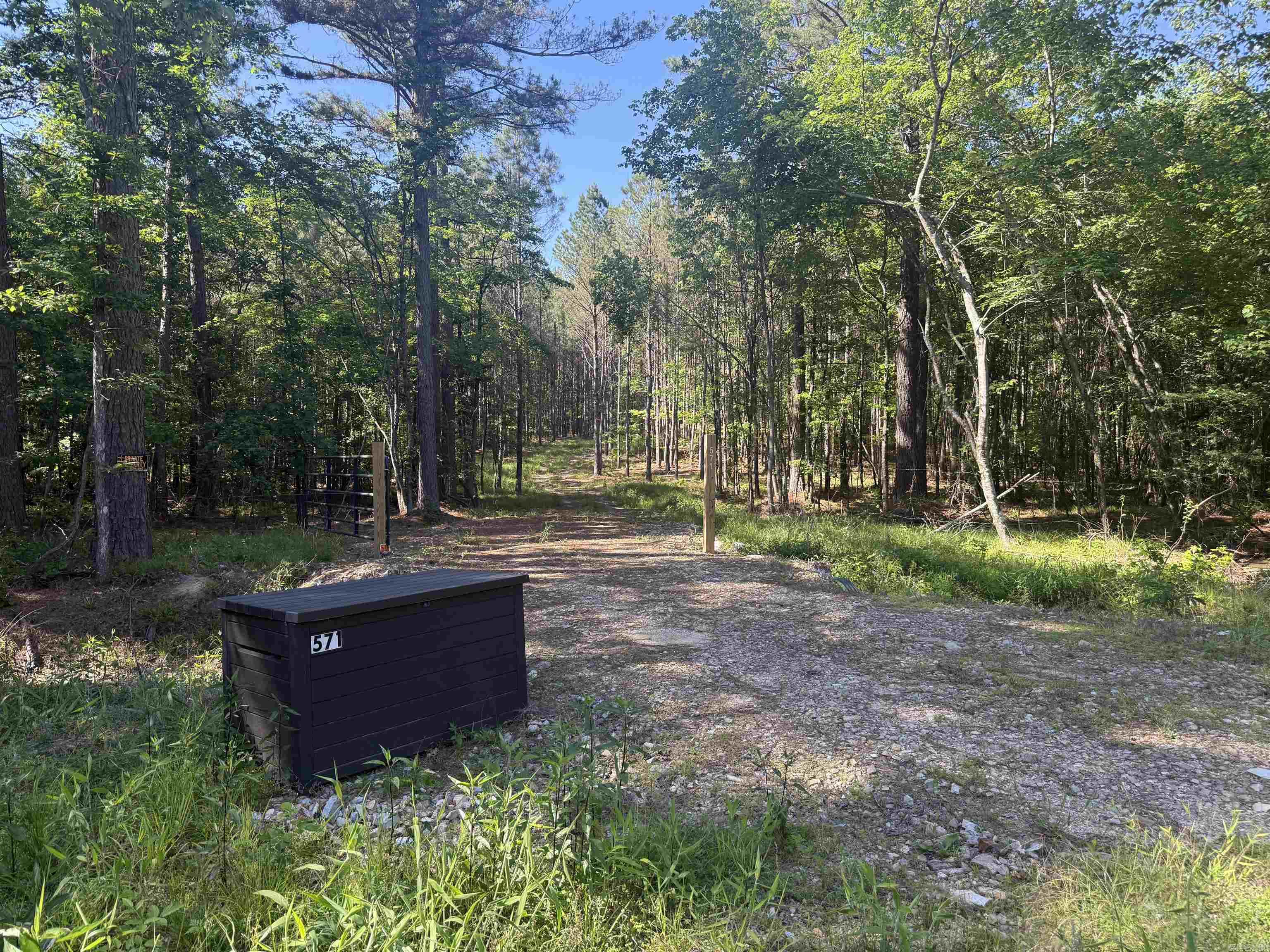 571 Stihl  Hot Springs, AR