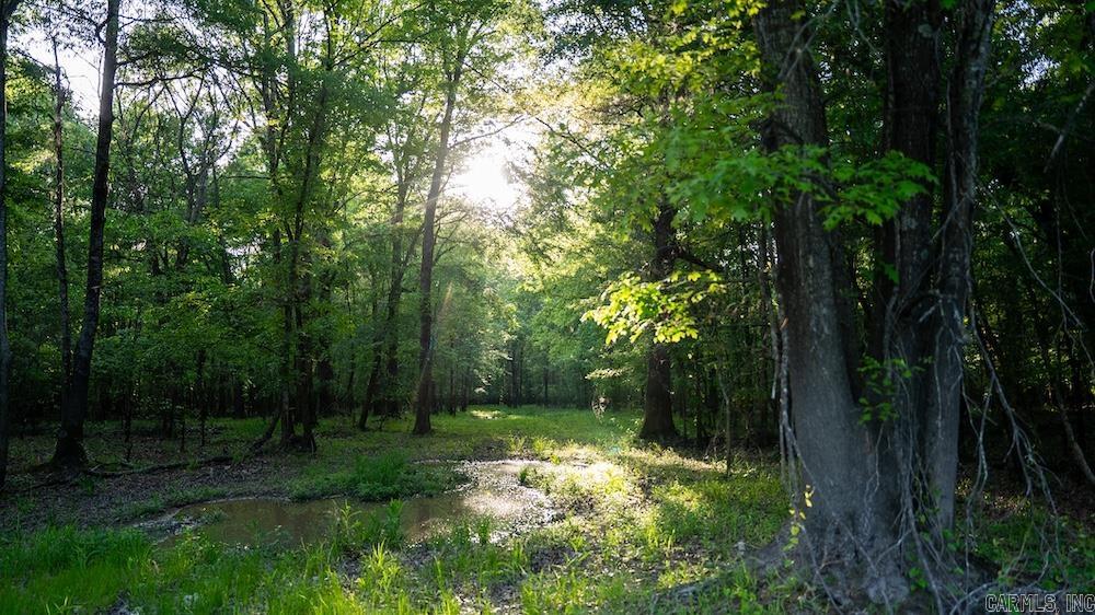  Cypress Lake Road  Beebe, AR