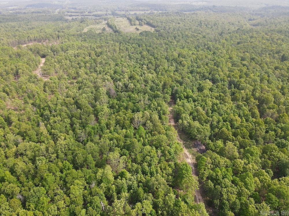  N/A Red Bud Rd  Sturkie, AR